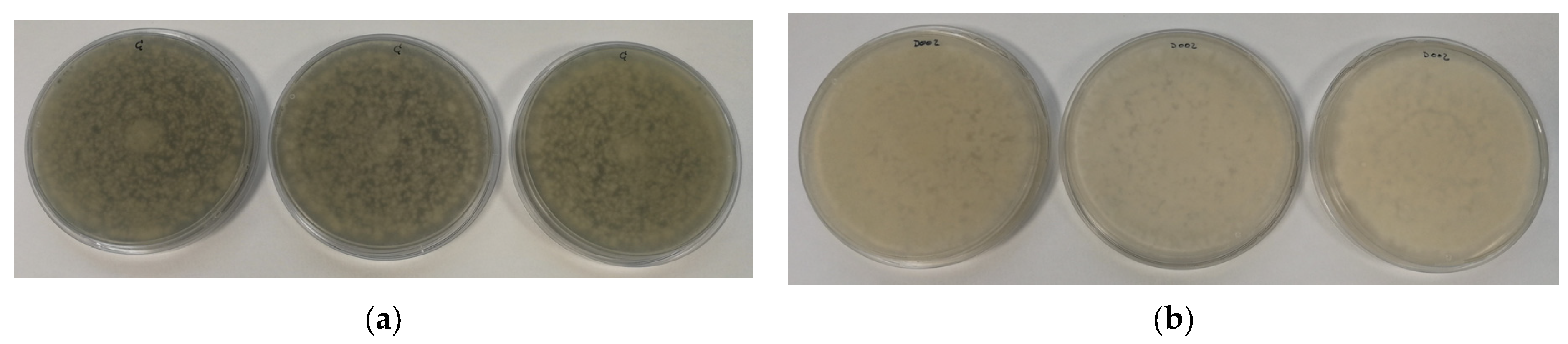 Polymers 16 01245 g009