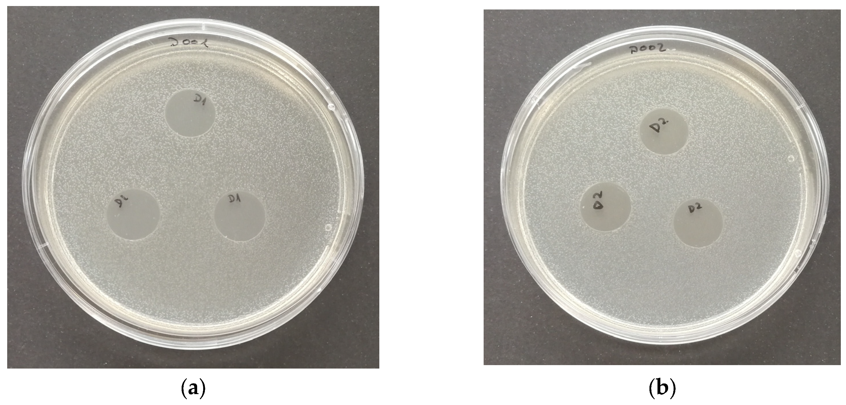 Polymers 16 01245 g010