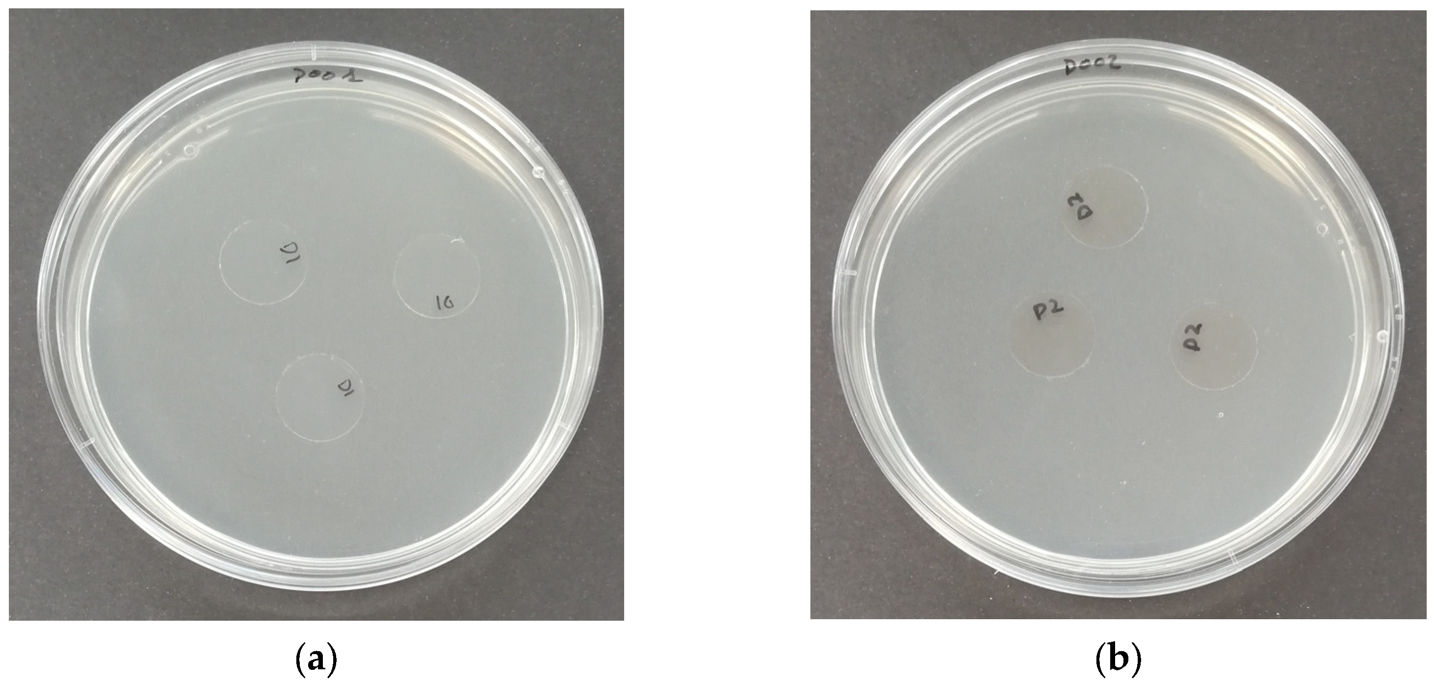 Polymers 16 01245 g011