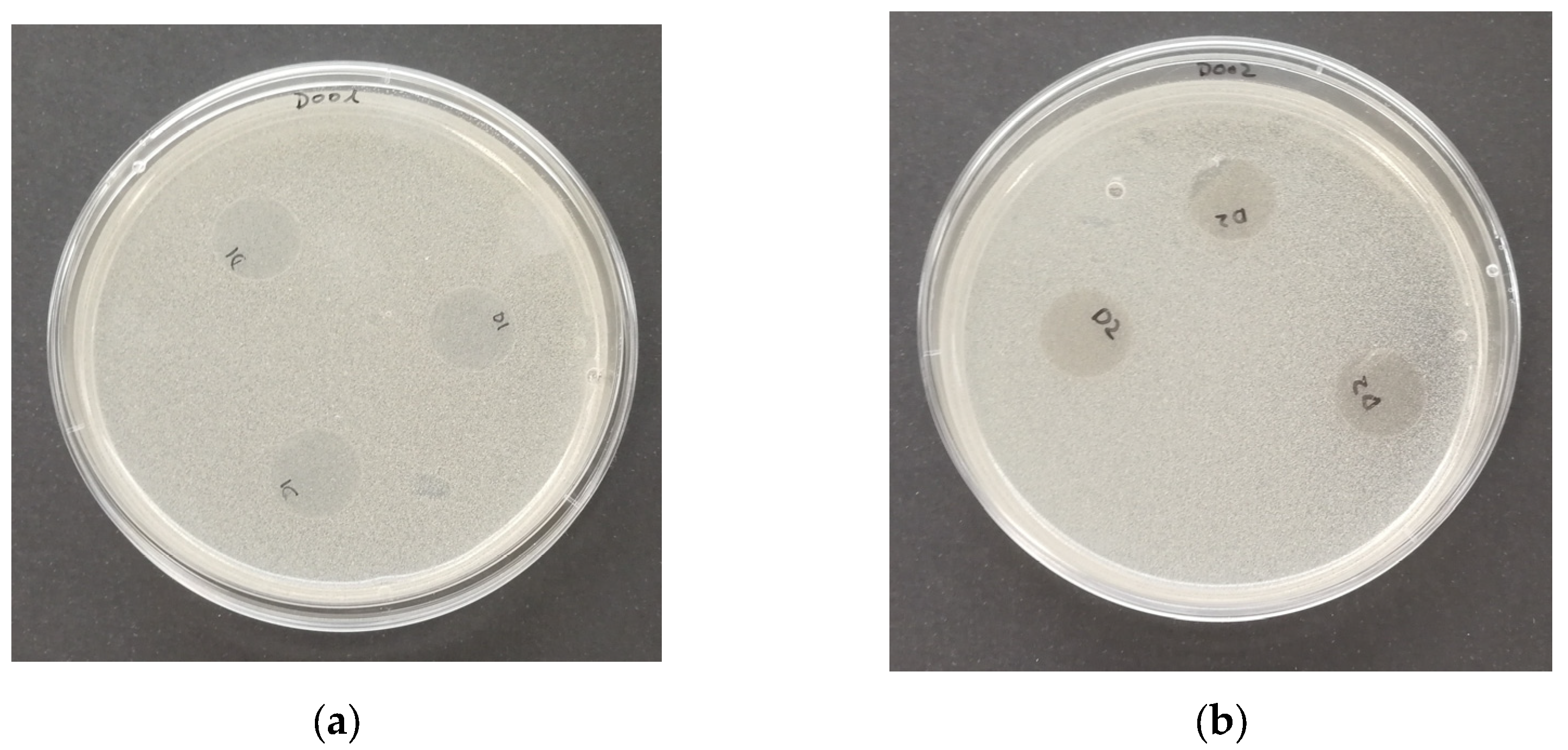 Polymers 16 01245 g012