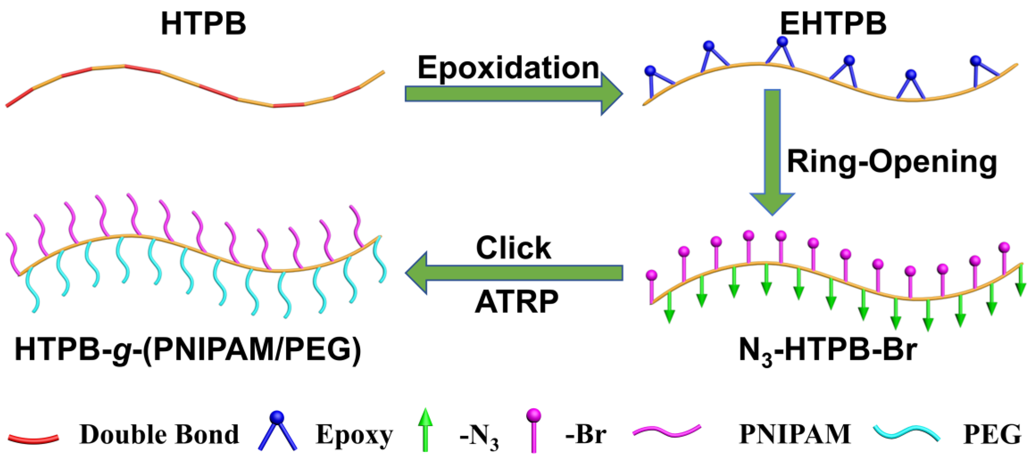Polymers 16 01248 g001