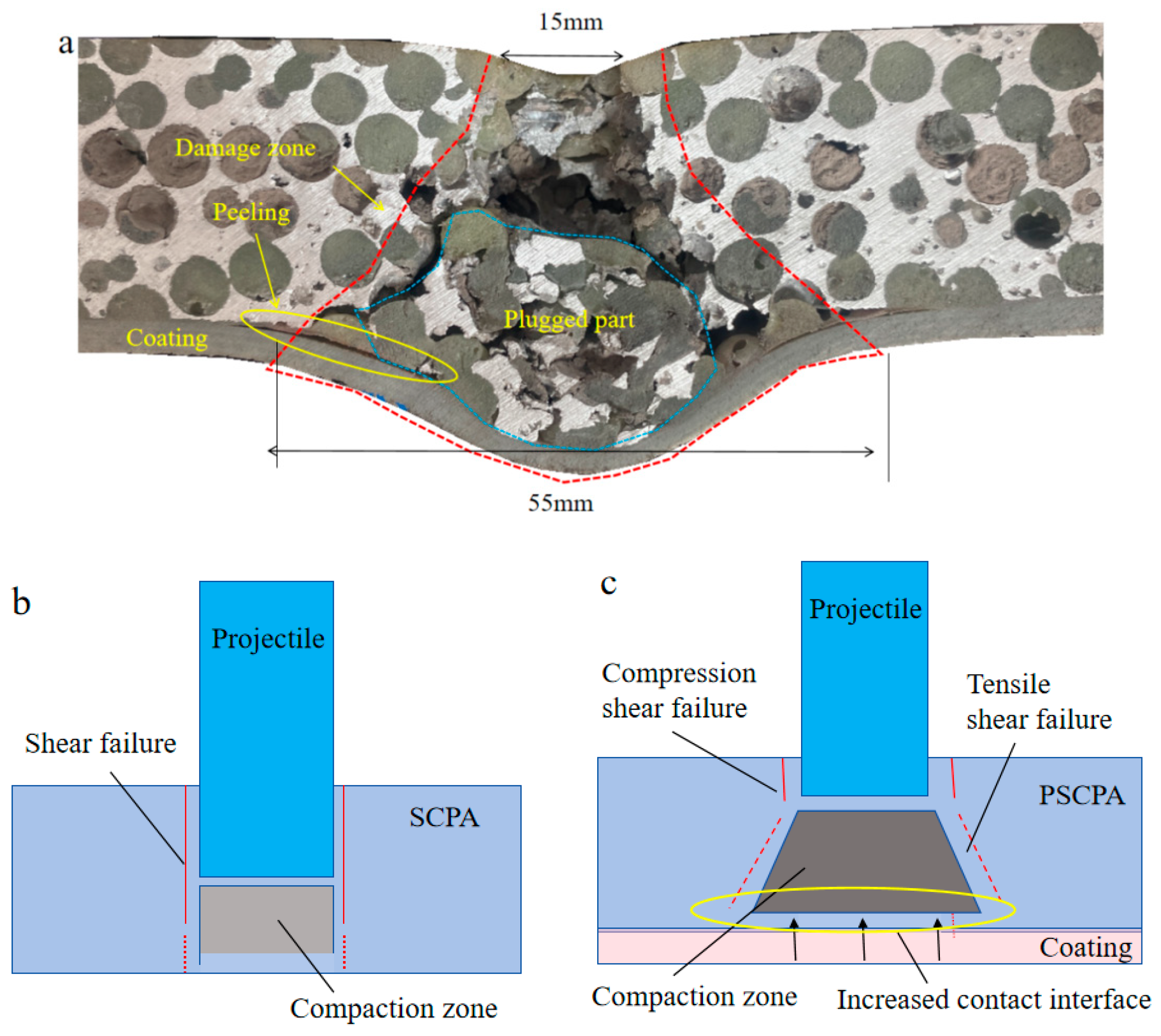 Polymers 16 01249 g012
