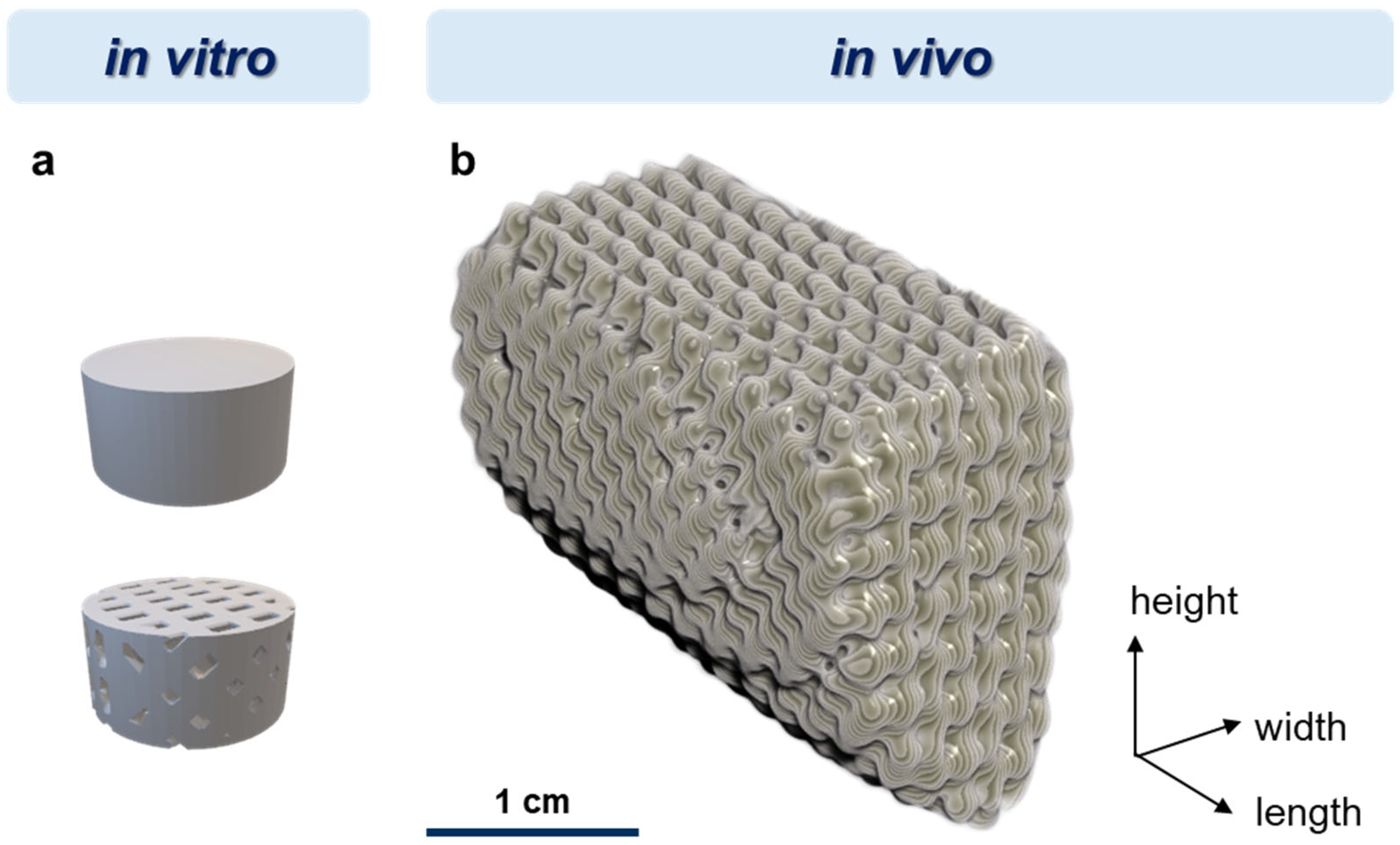 Polymers 16 01254 g001