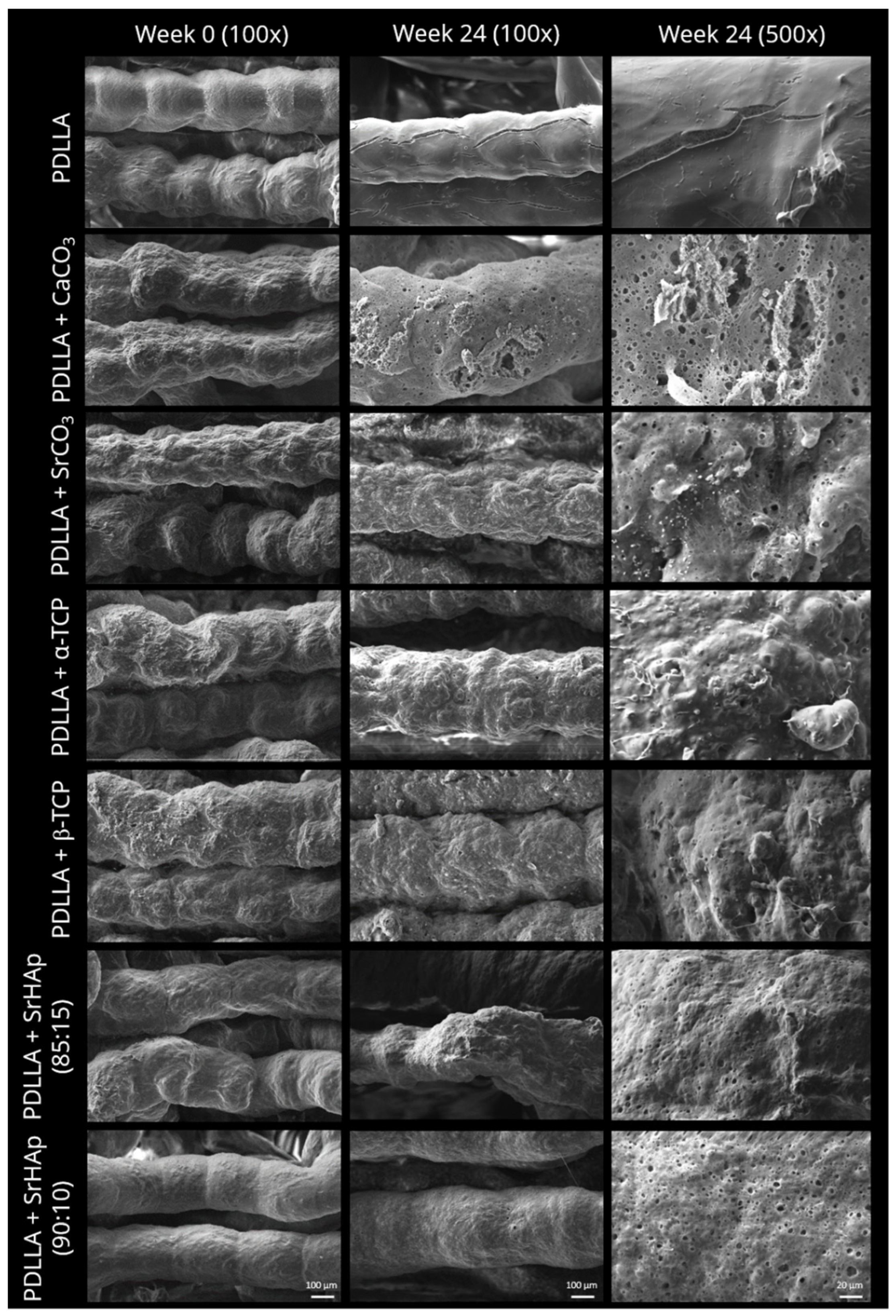 Polymers 16 01254 g003