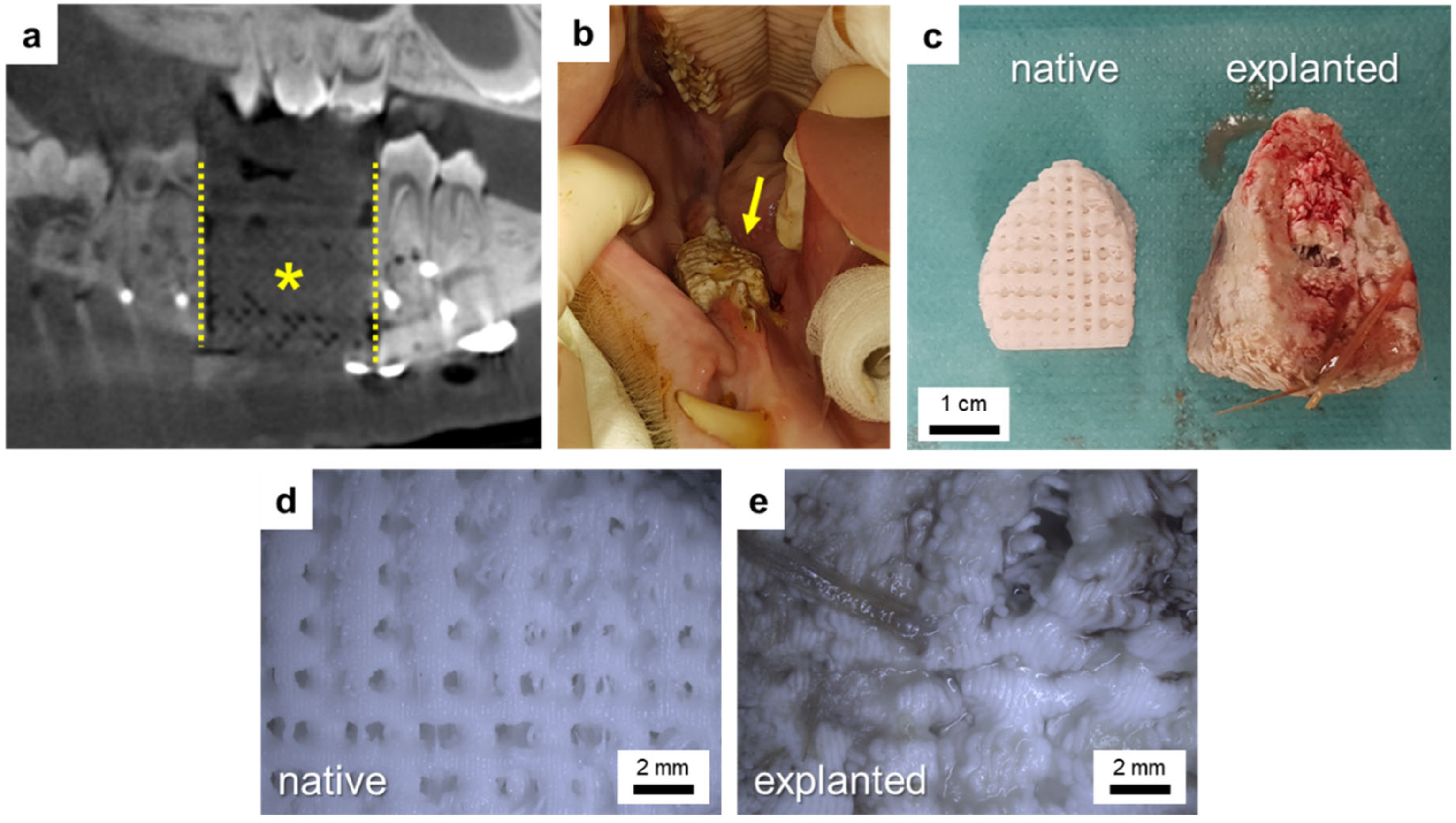 Polymers 16 01254 g008