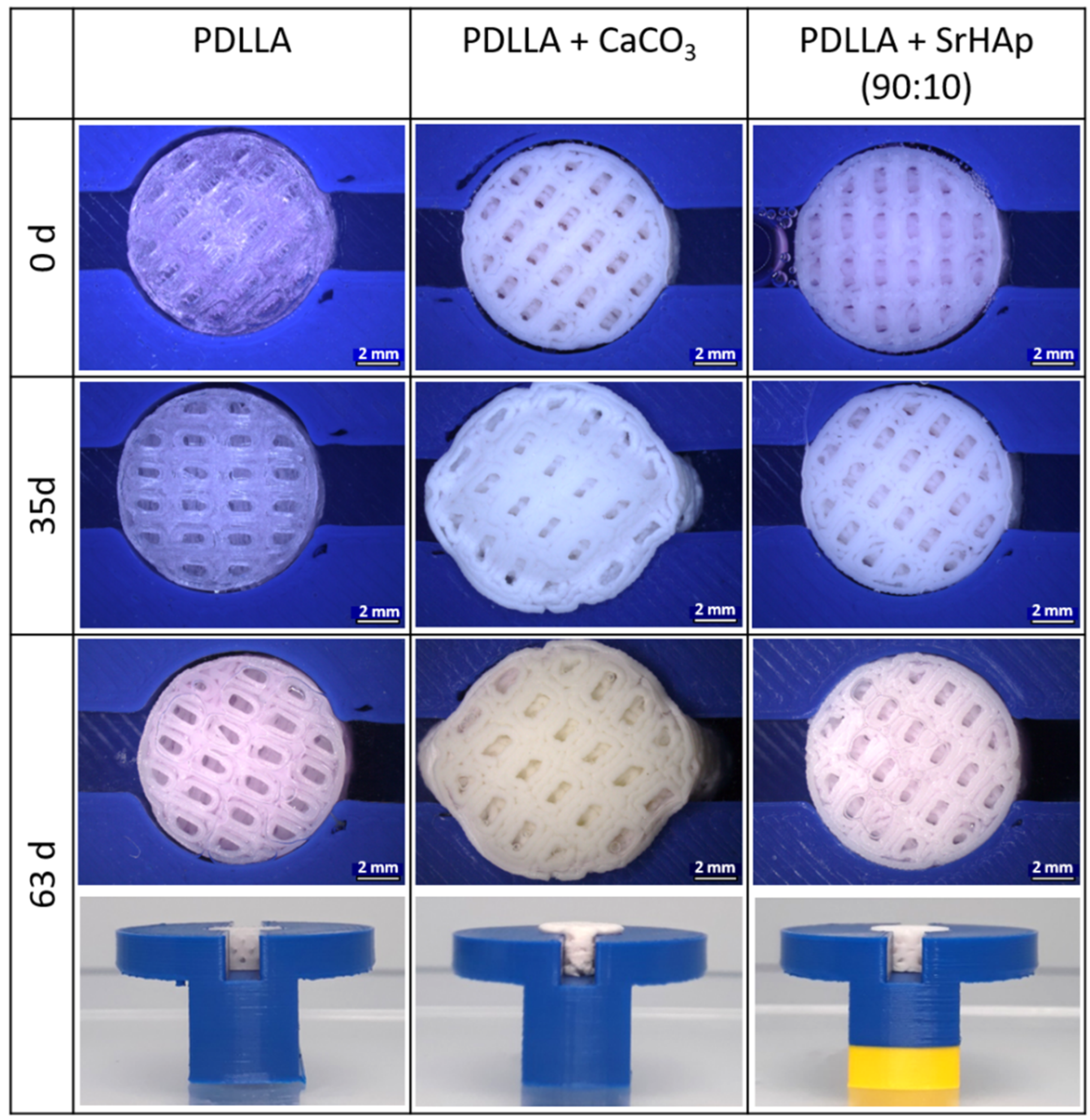 Polymers 16 01254 g010
