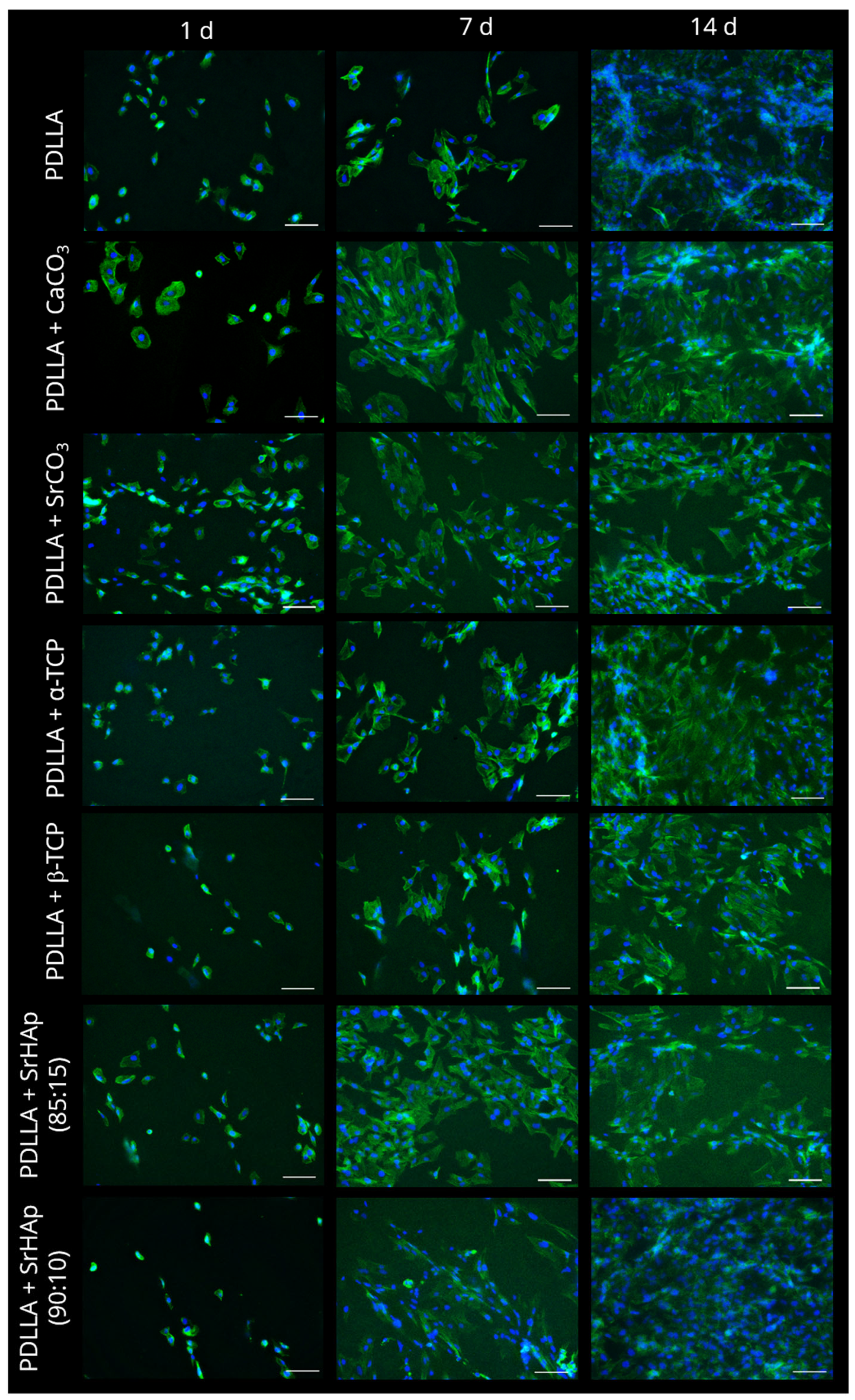 Polymers 16 01254 g0a3