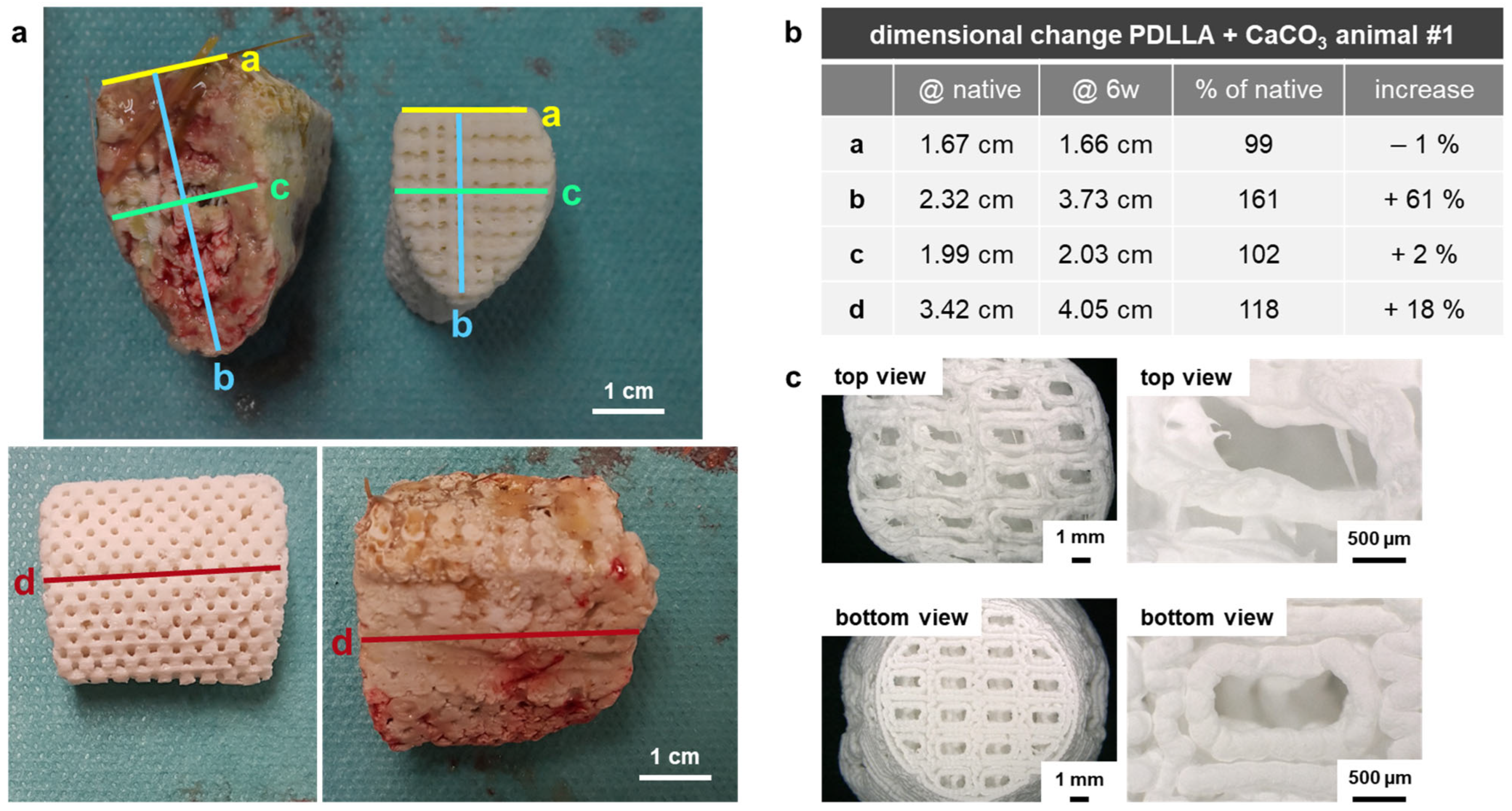 Polymers 16 01254 g0a4