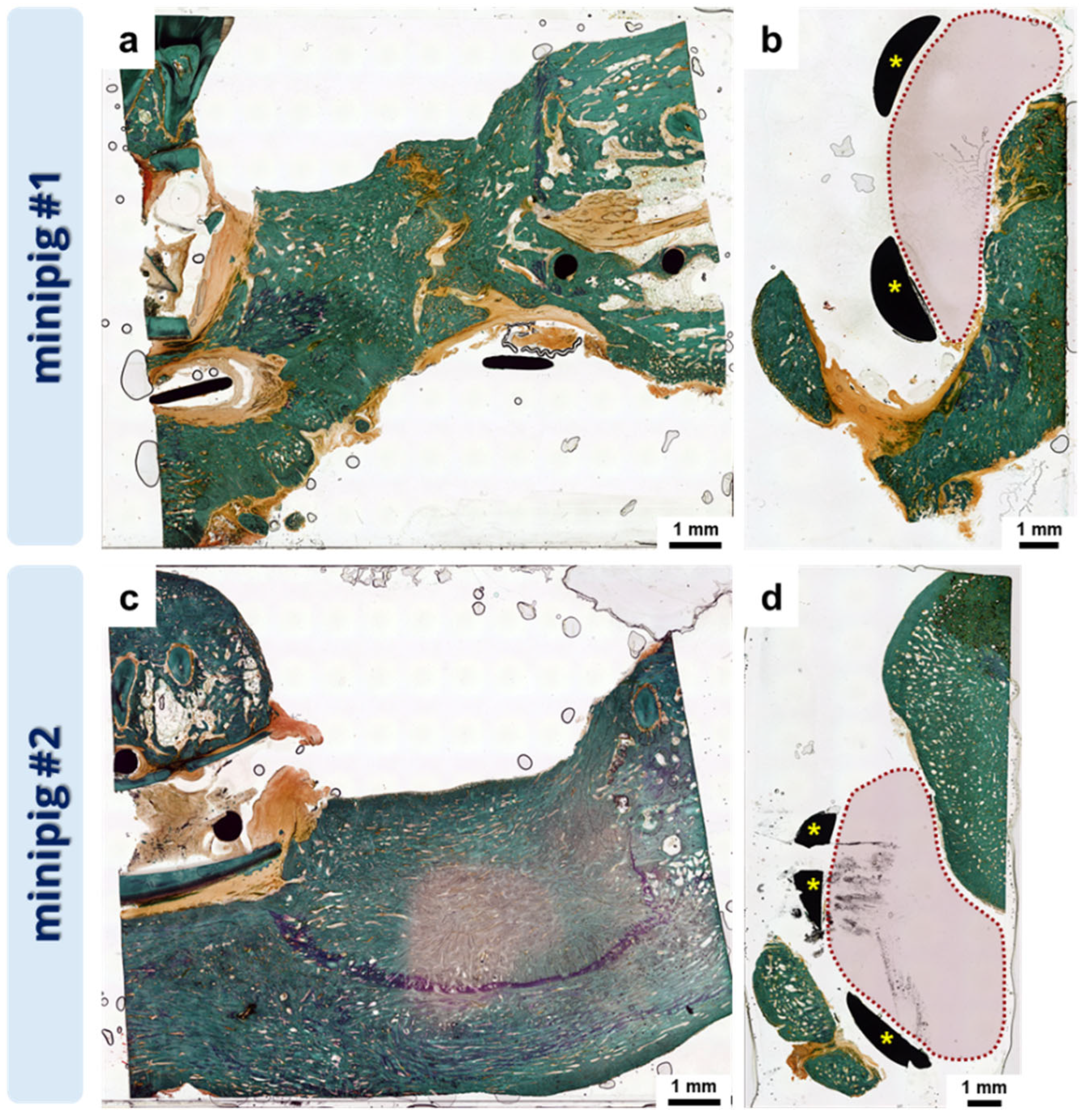 Polymers 16 01254 g0a5