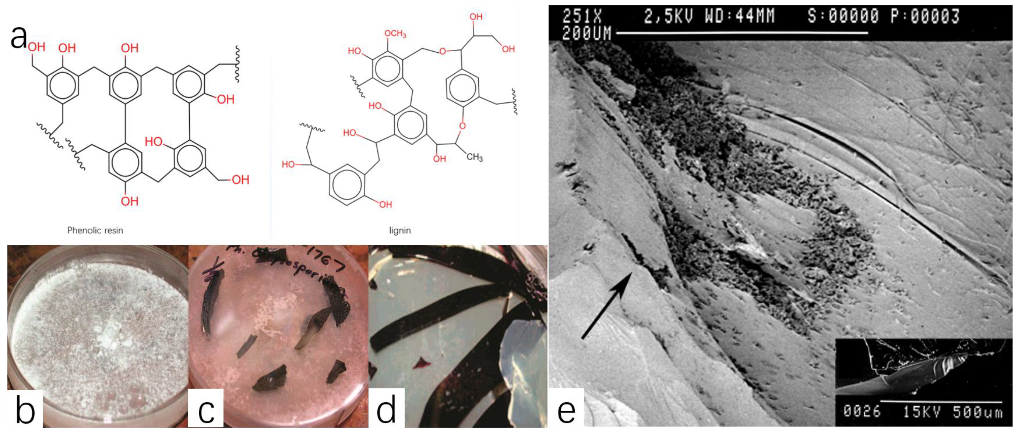 Polymers 16 01255 g009