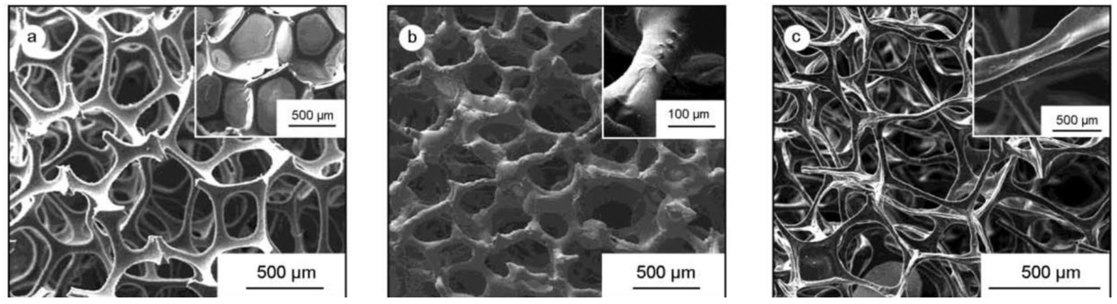 Polymers 16 01255 g015