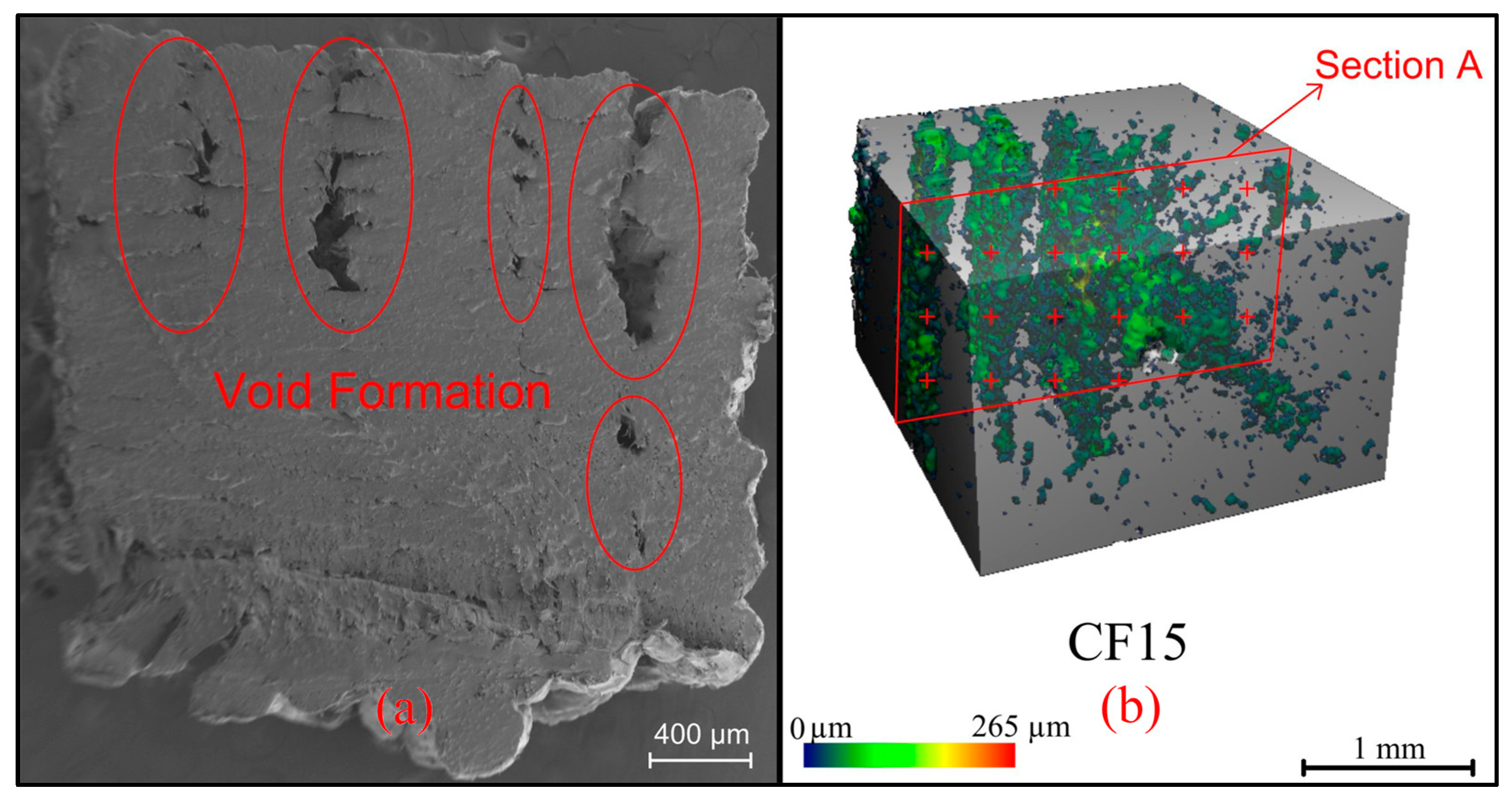 Polymers 16 01257 g006
