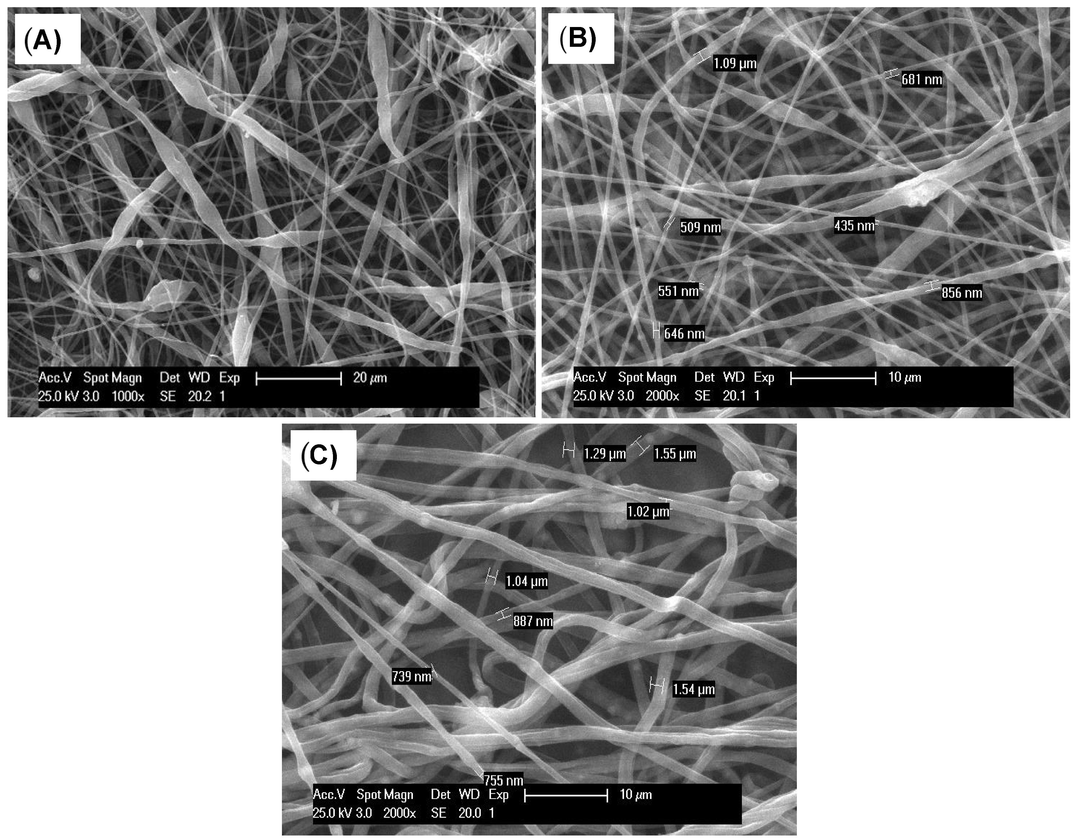 Polymers 16 01258 g001 Polymers 16 01258 g001