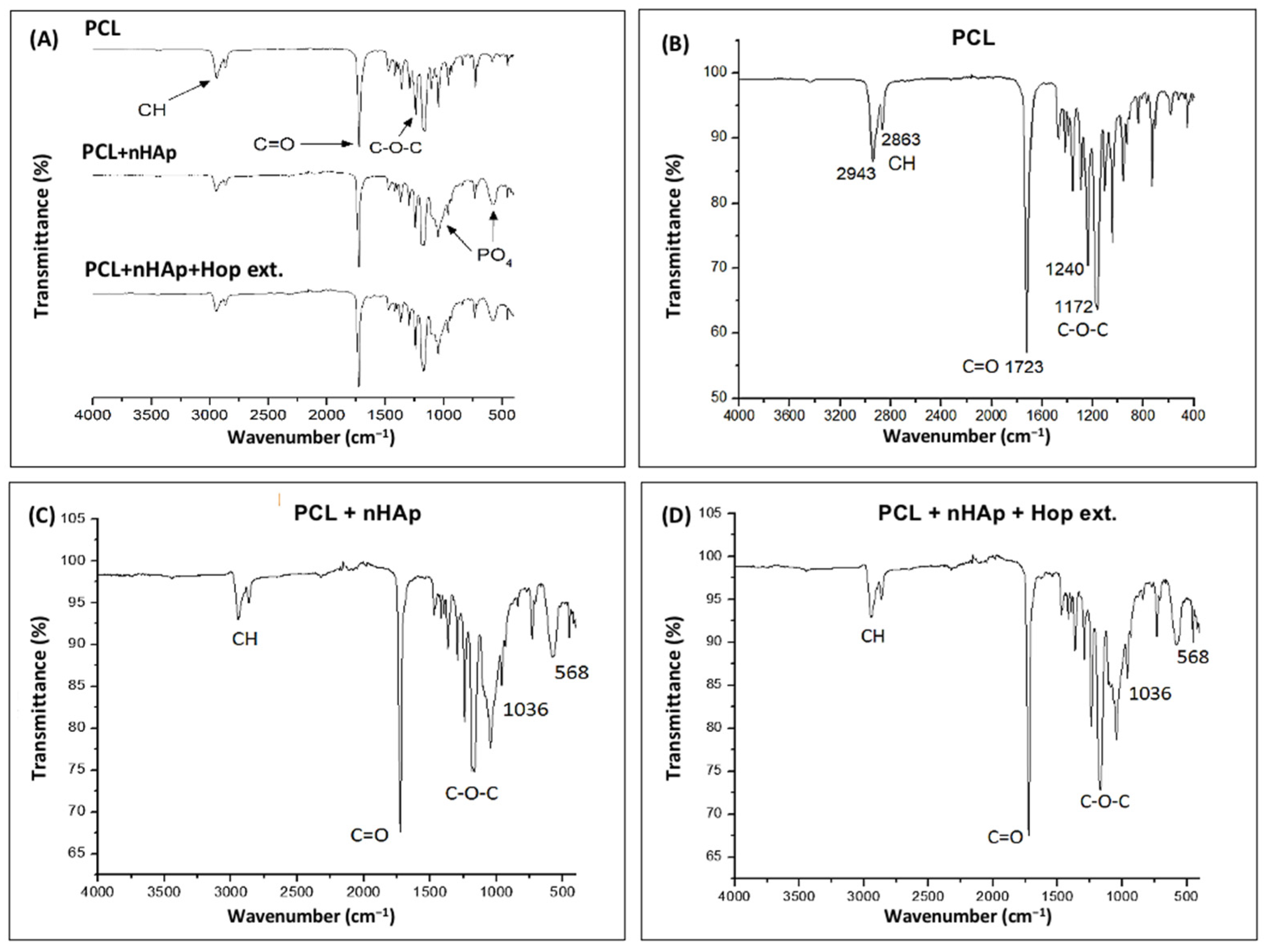 Polymers 16 01258 g003 Polymers 16 01258 g003