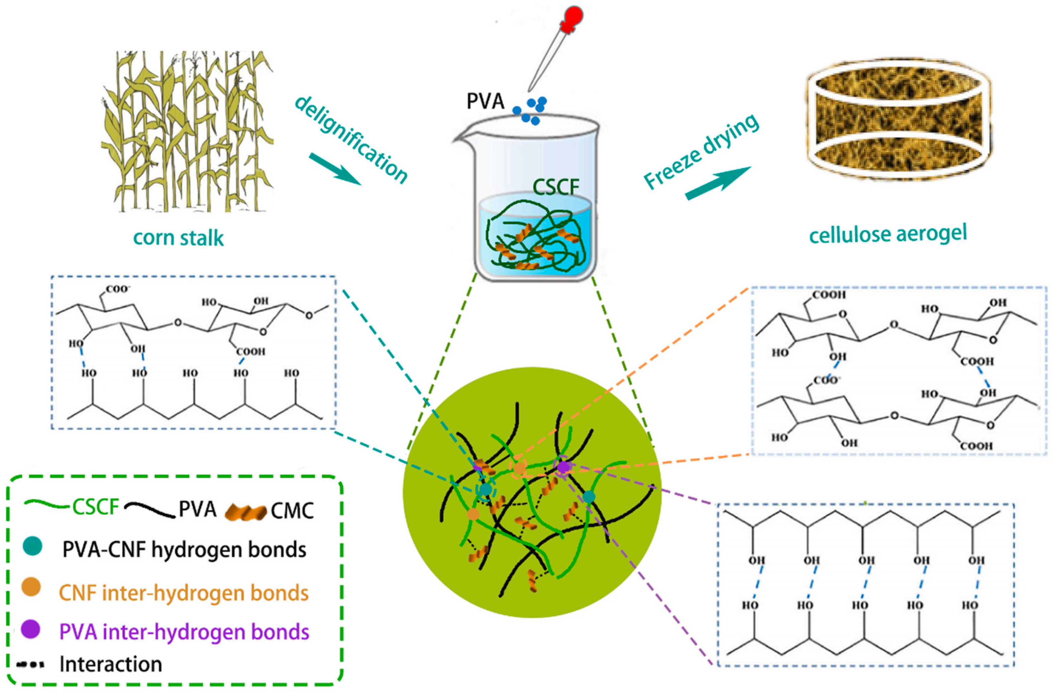 Polymers 16 01260 g001