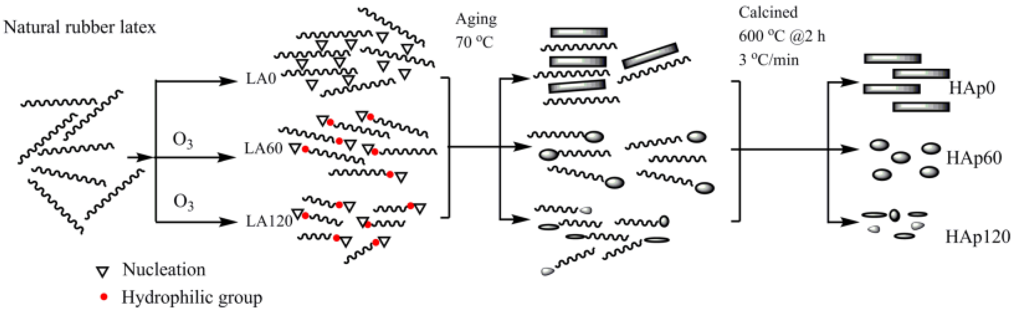 Polymers 16 01263 g002