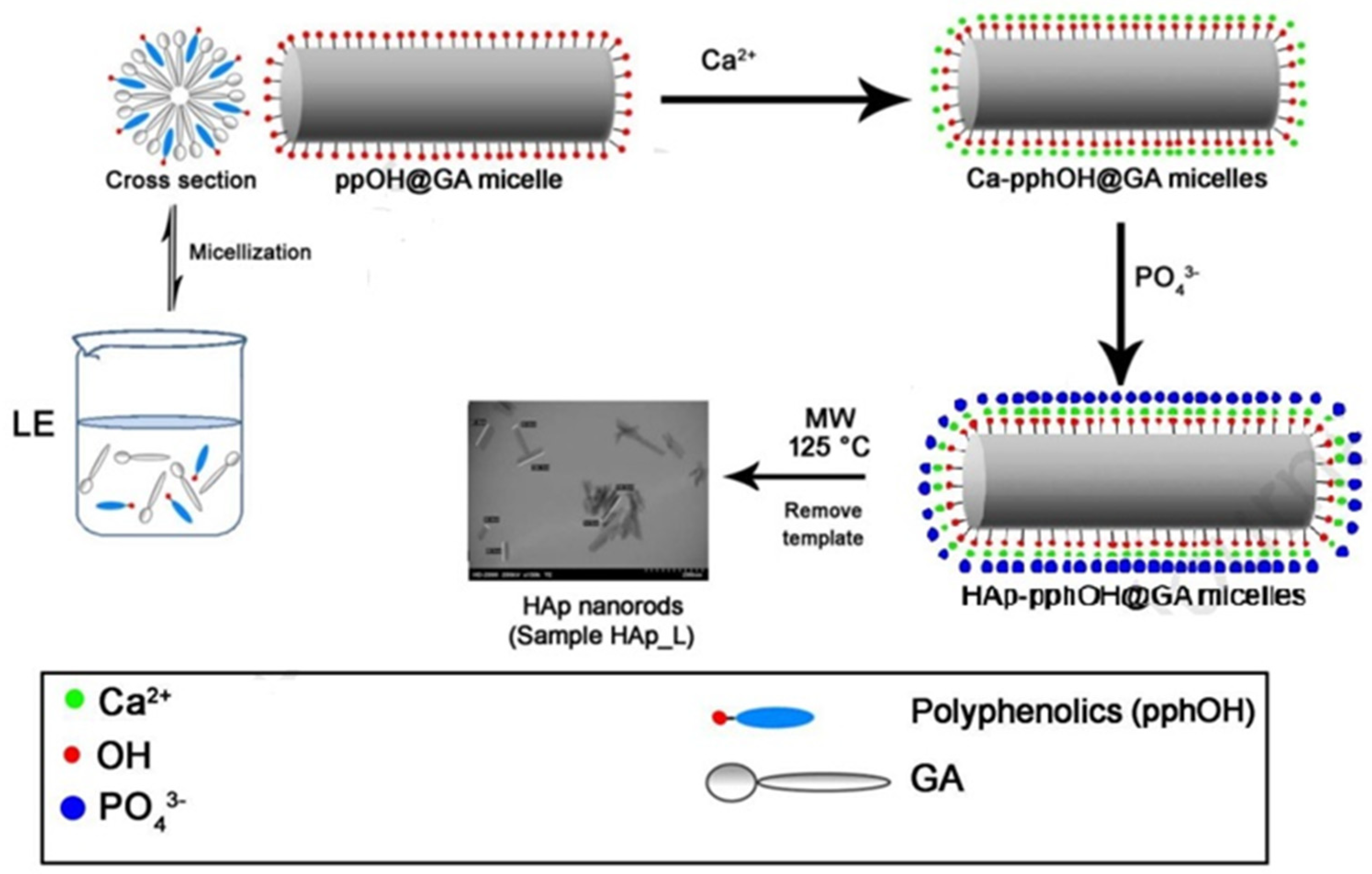 Polymers 16 01263 g003