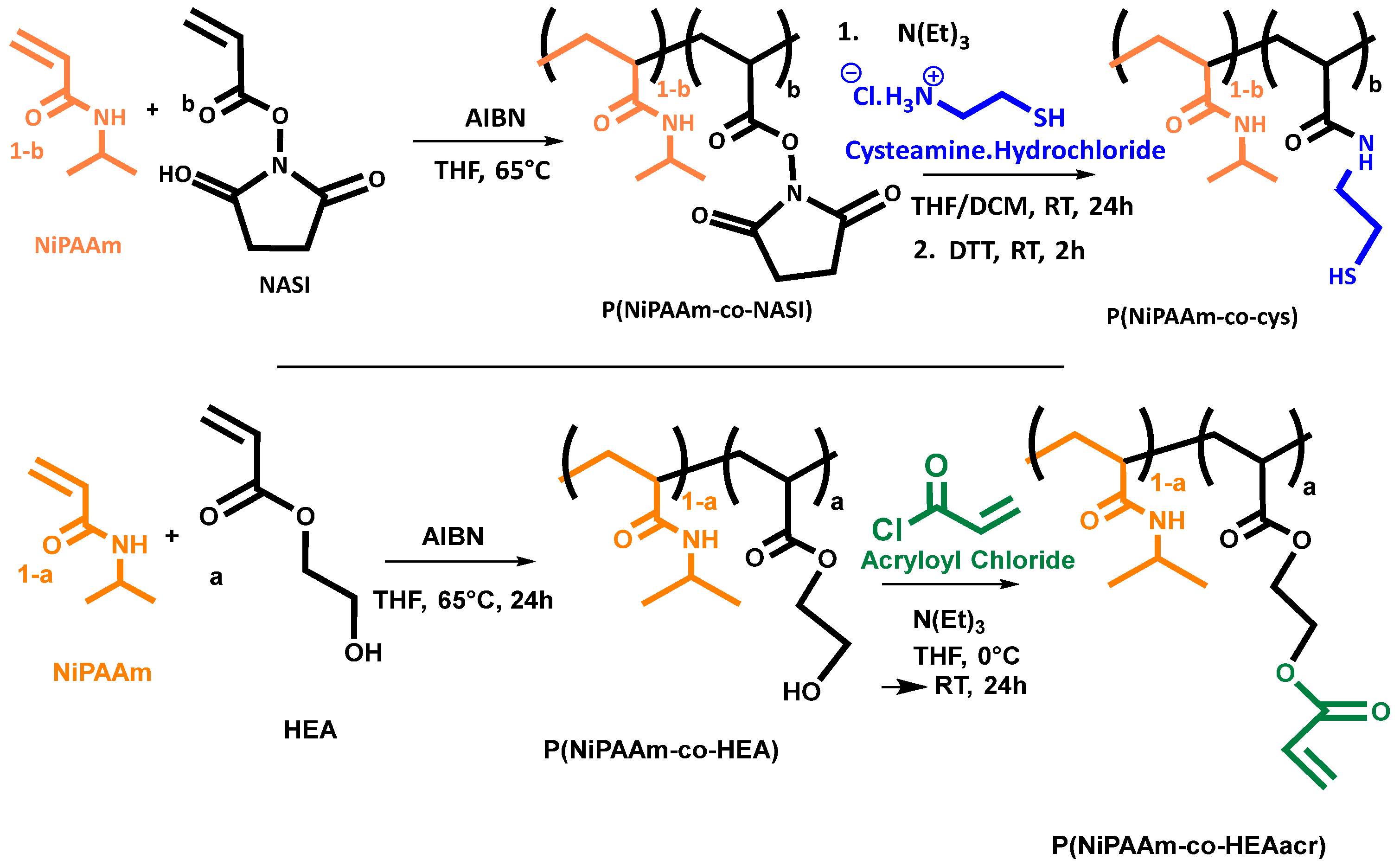 Polymers 16 01264 sch001