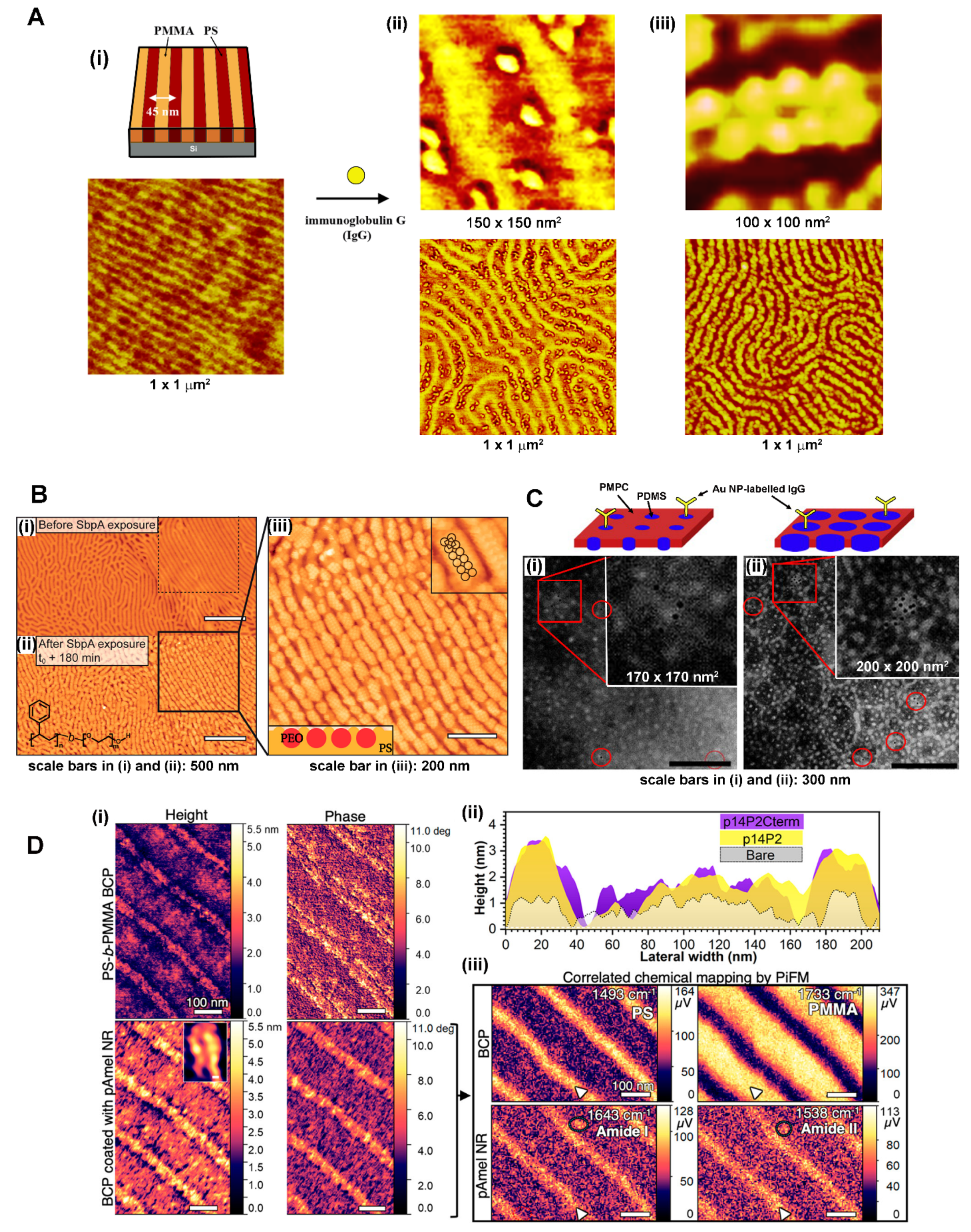 Polymers 16 01267 g003 Polymers 16 01267 g003