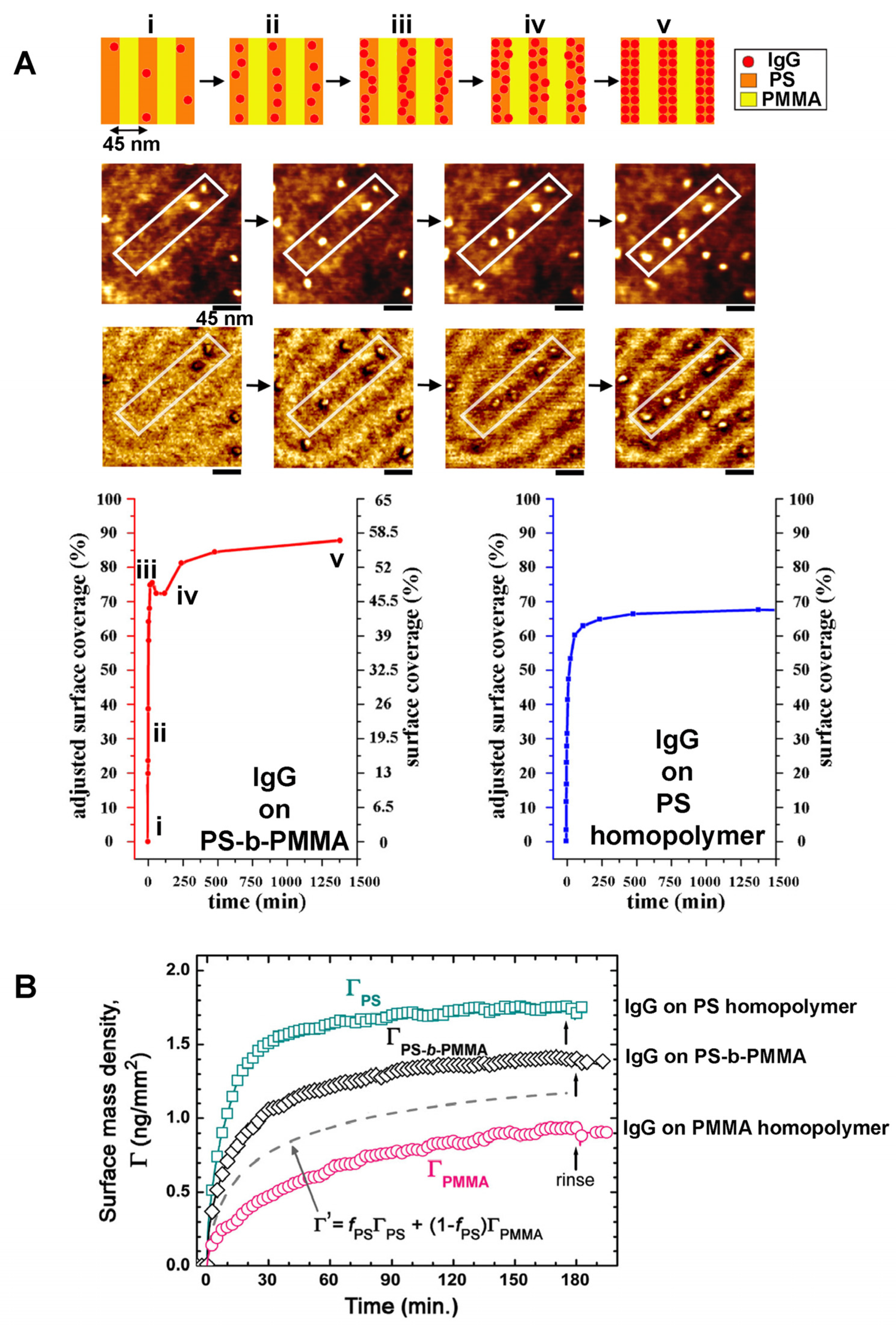 Polymers 16 01267 g007 Polymers 16 01267 g007