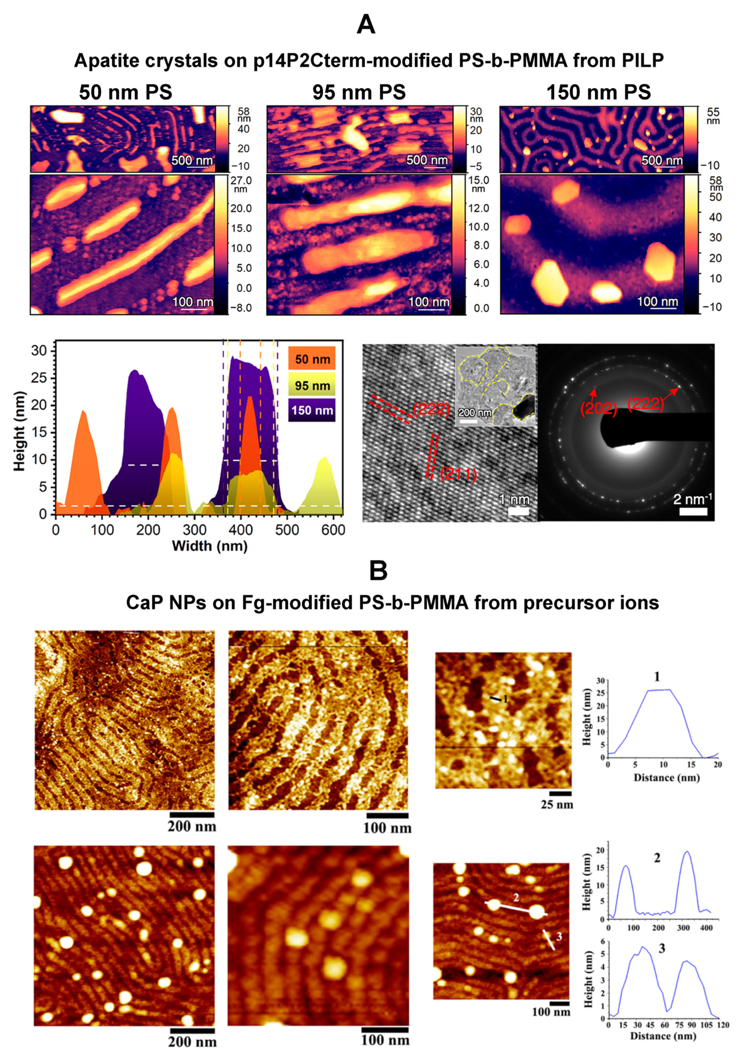 Polymers 16 01267 g009 Polymers 16 01267 g009