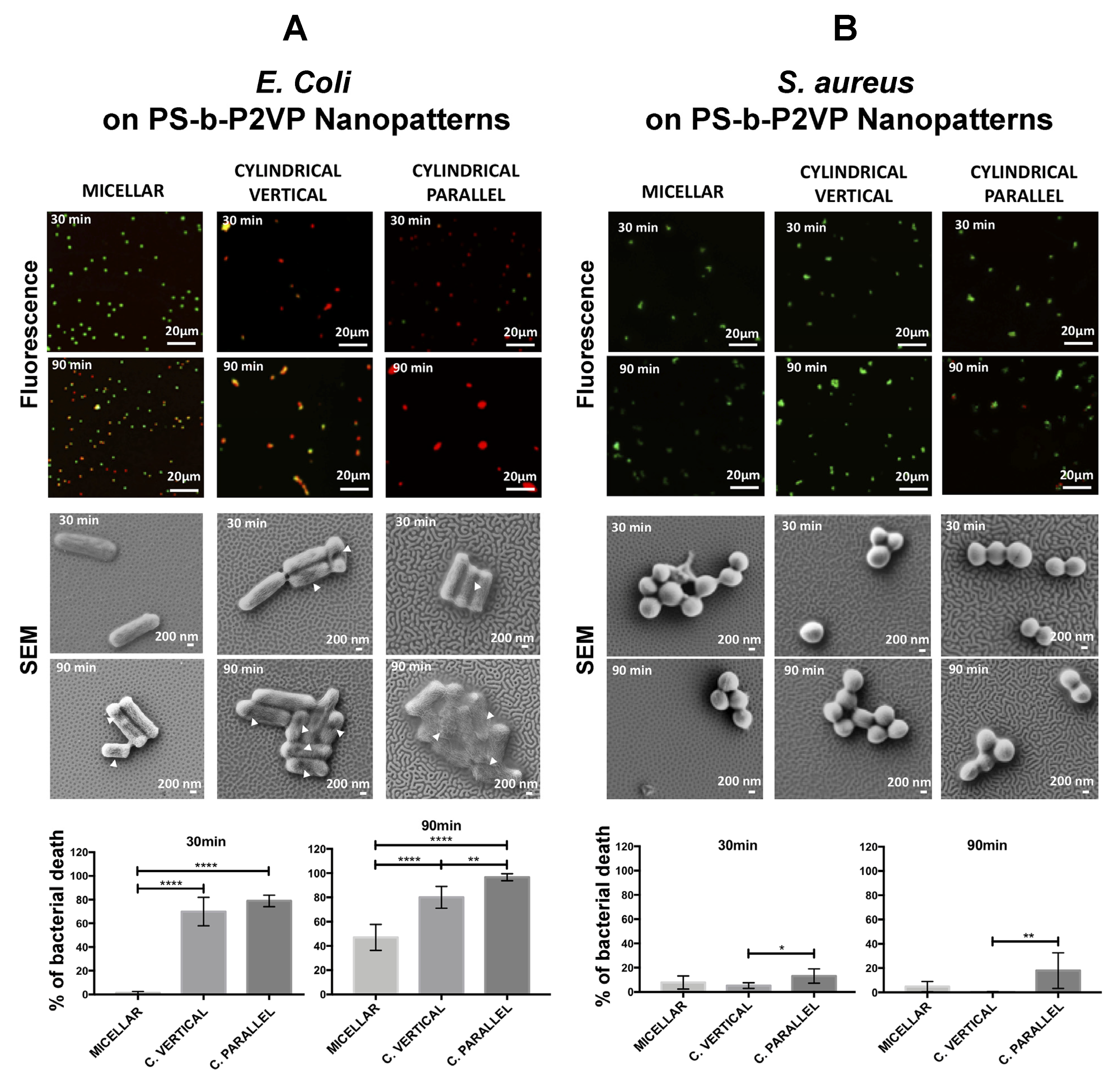 Polymers 16 01267 g010 Polymers 16 01267 g010