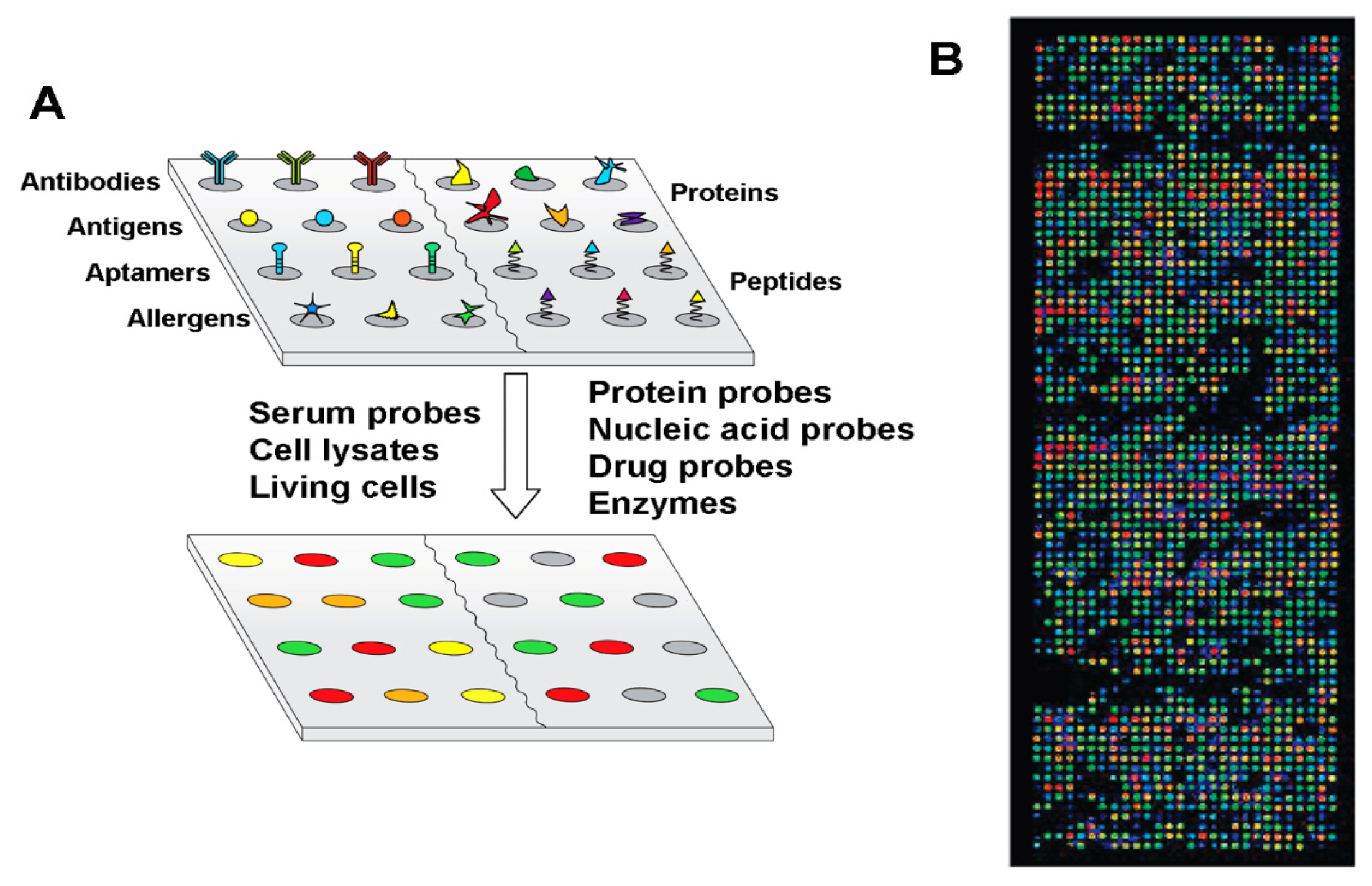 Polymers 16 01267 g012 Polymers 16 01267 g012