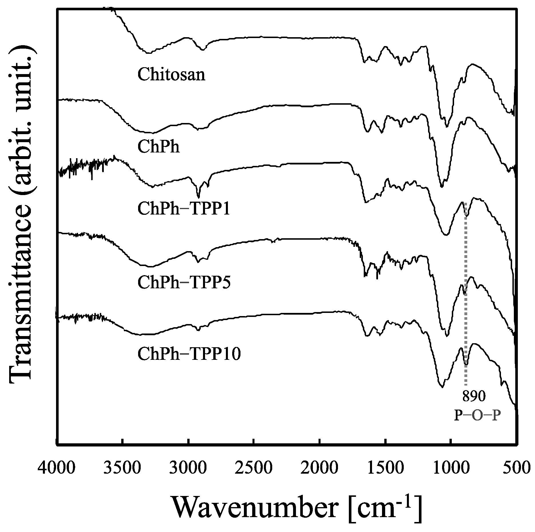 Polymers 16 01274 g003