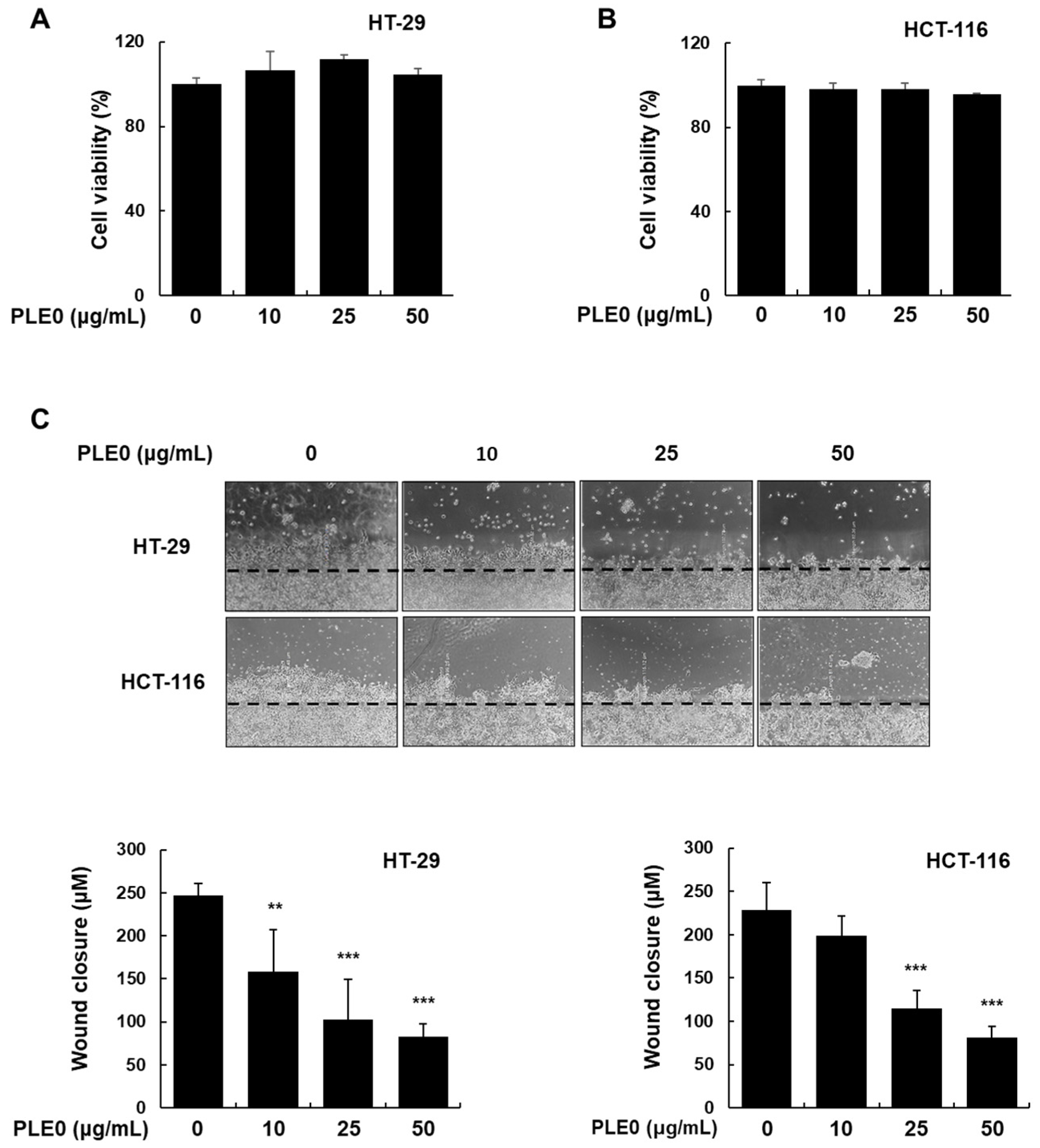 Polymers 16 01275 g001