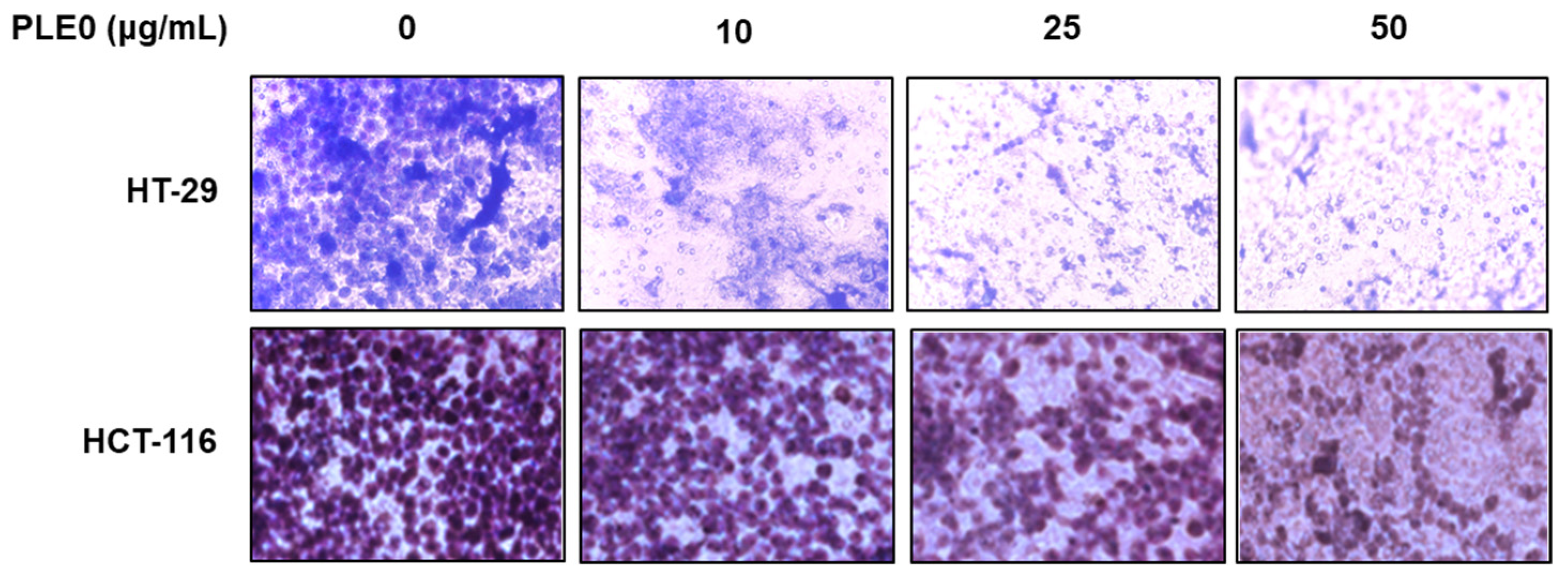 Polymers 16 01275 g002
