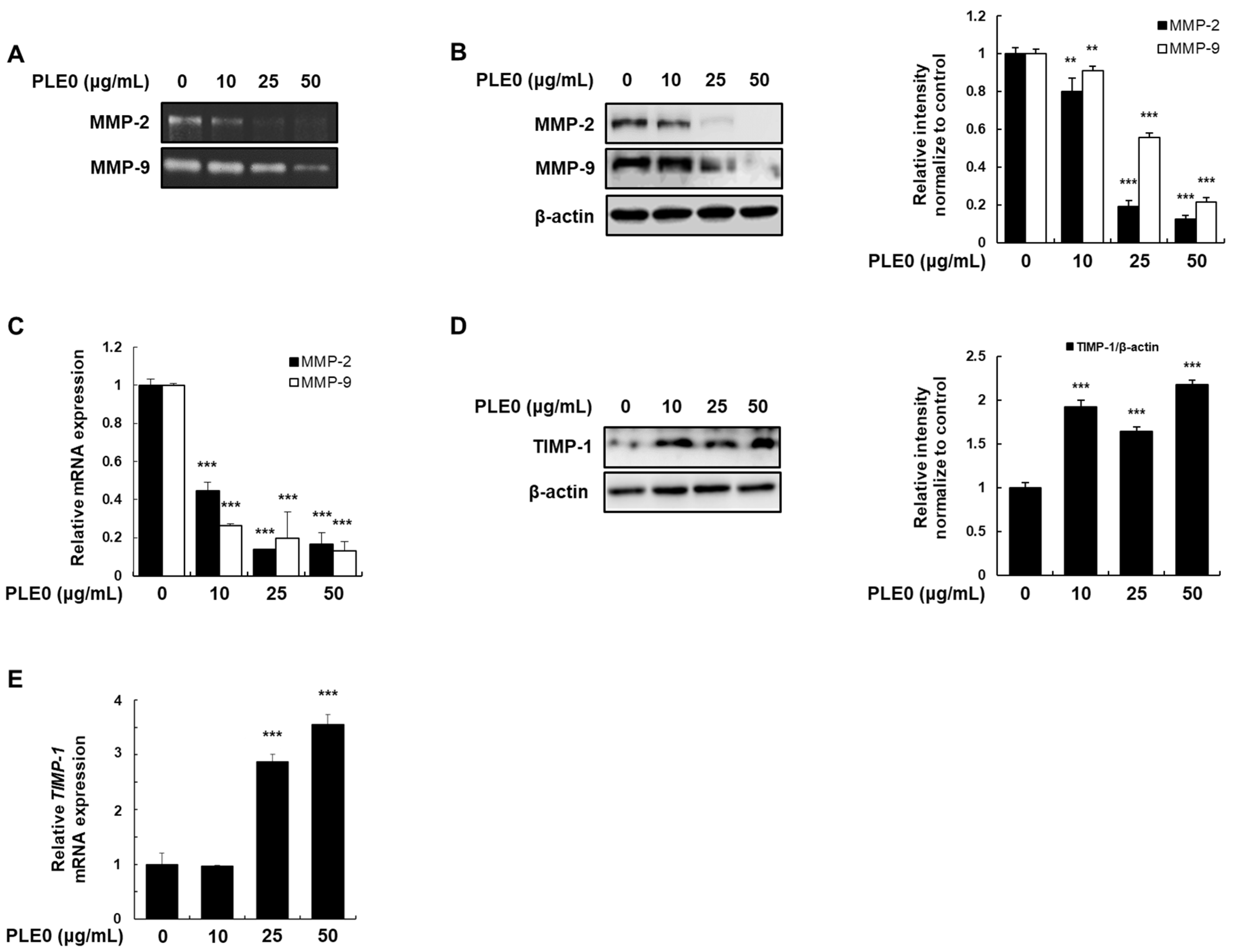 Polymers 16 01275 g004