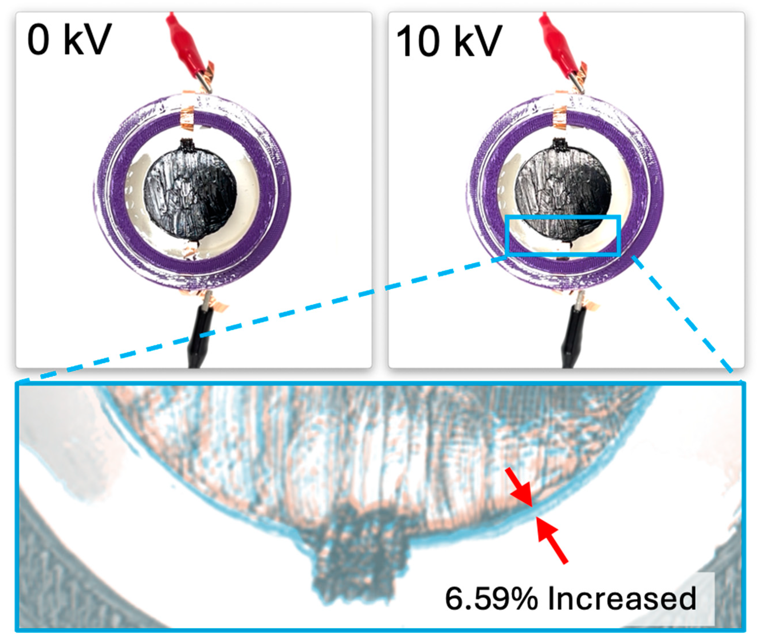 Polymers 16 01277 g010