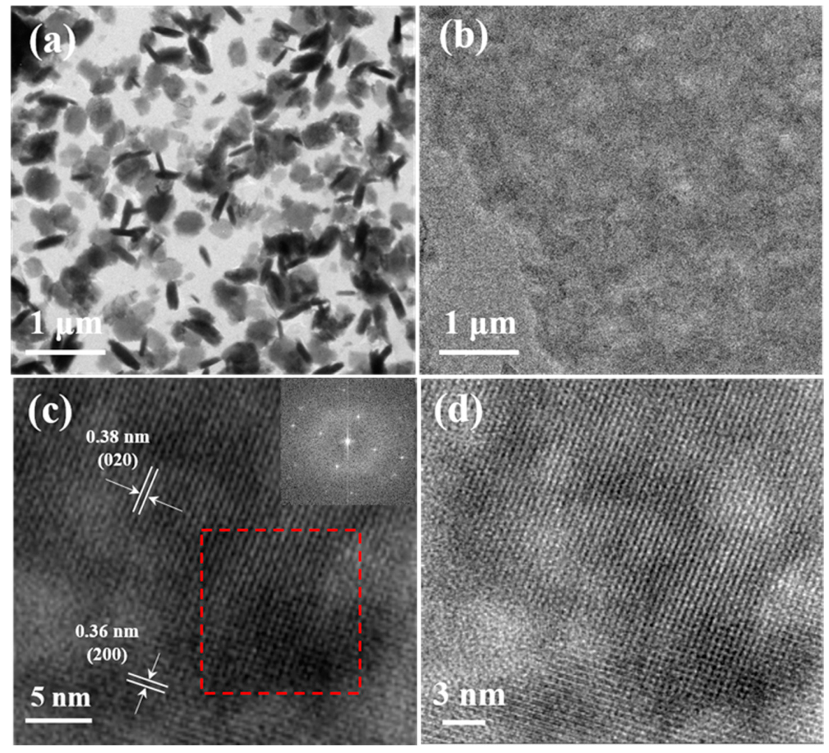 Polymers 16 01285 g004