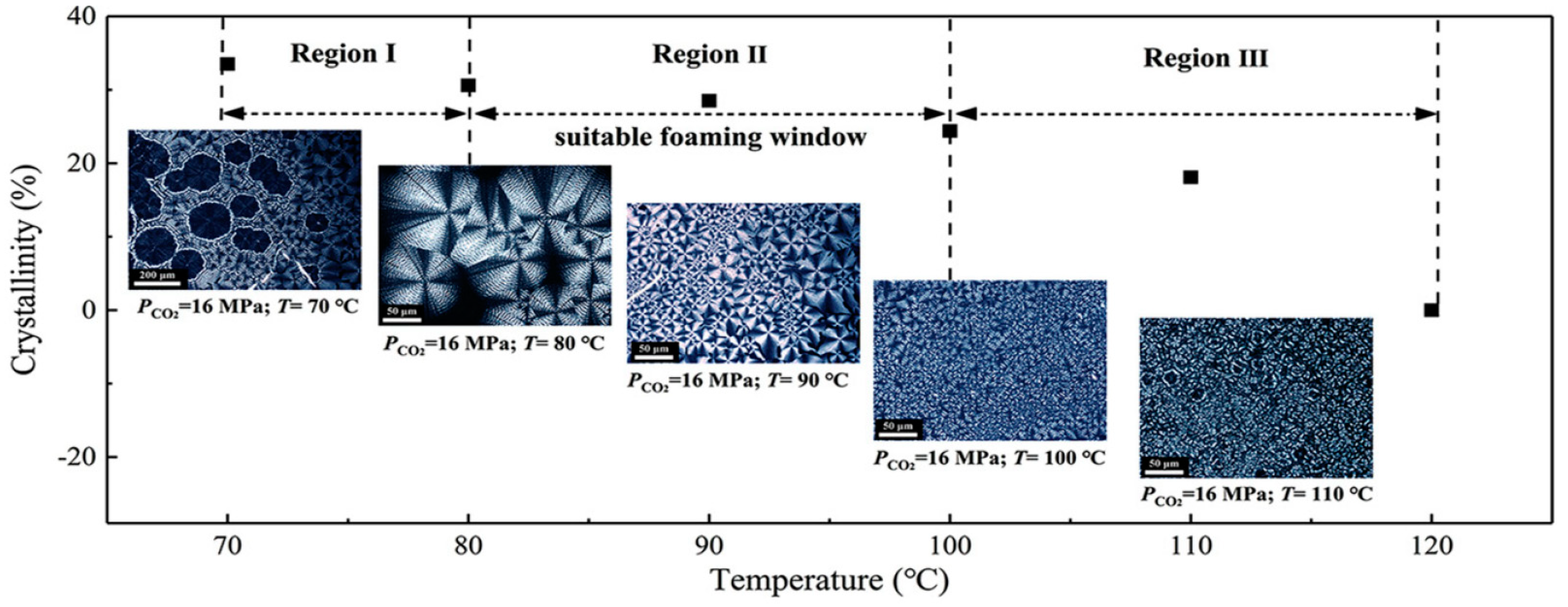 Polymers 16 01286 g013