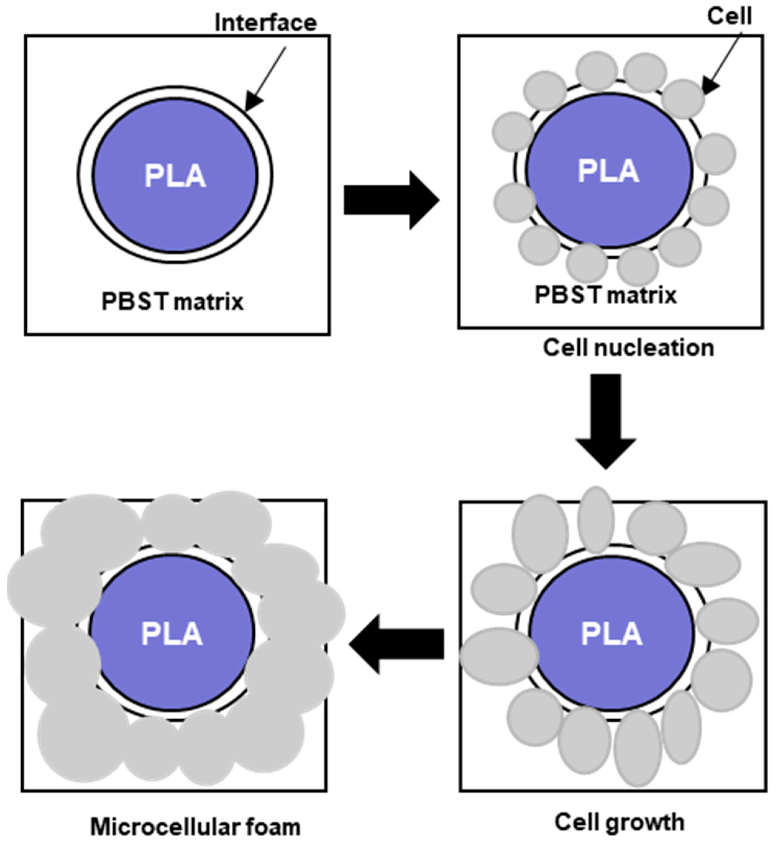 Polymers 16 01286 g019