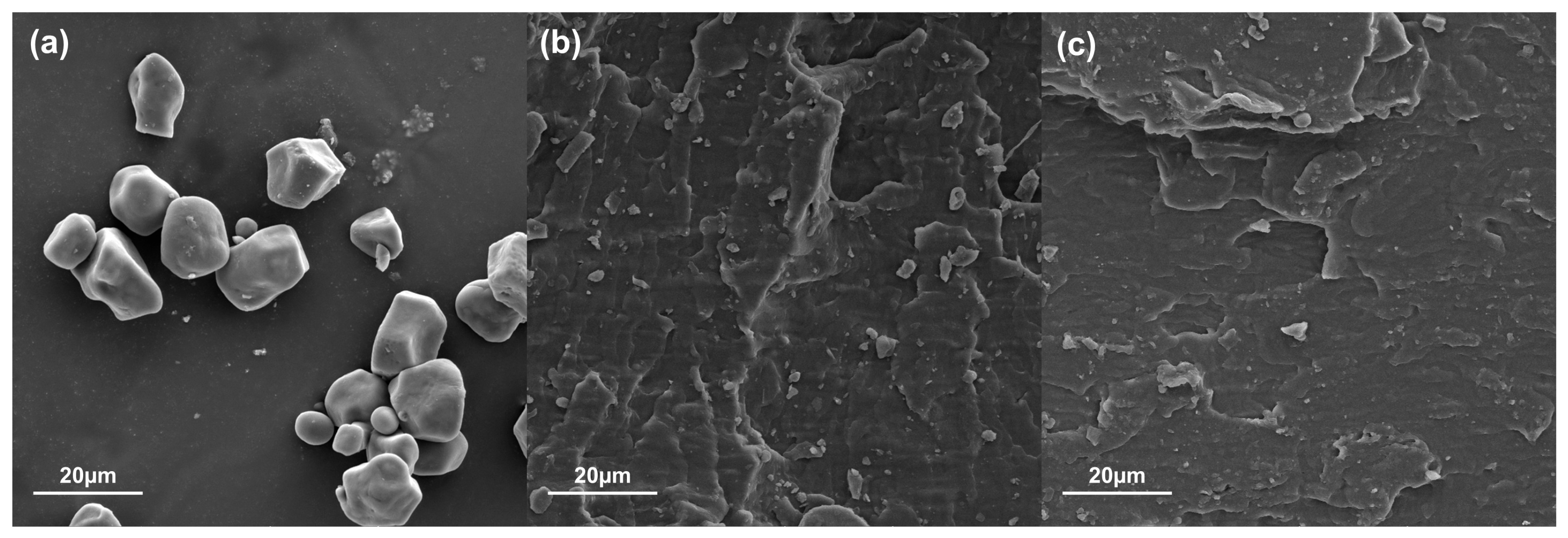 Polymers 16 01290 g004