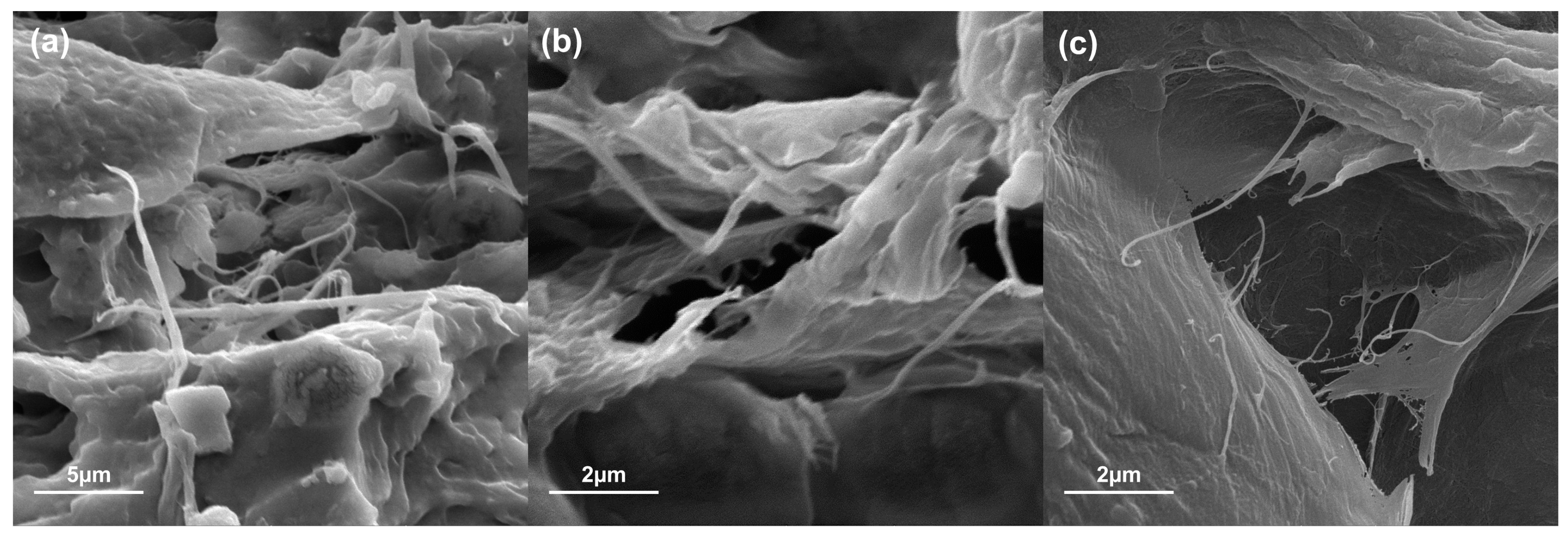 Polymers 16 01290 g006