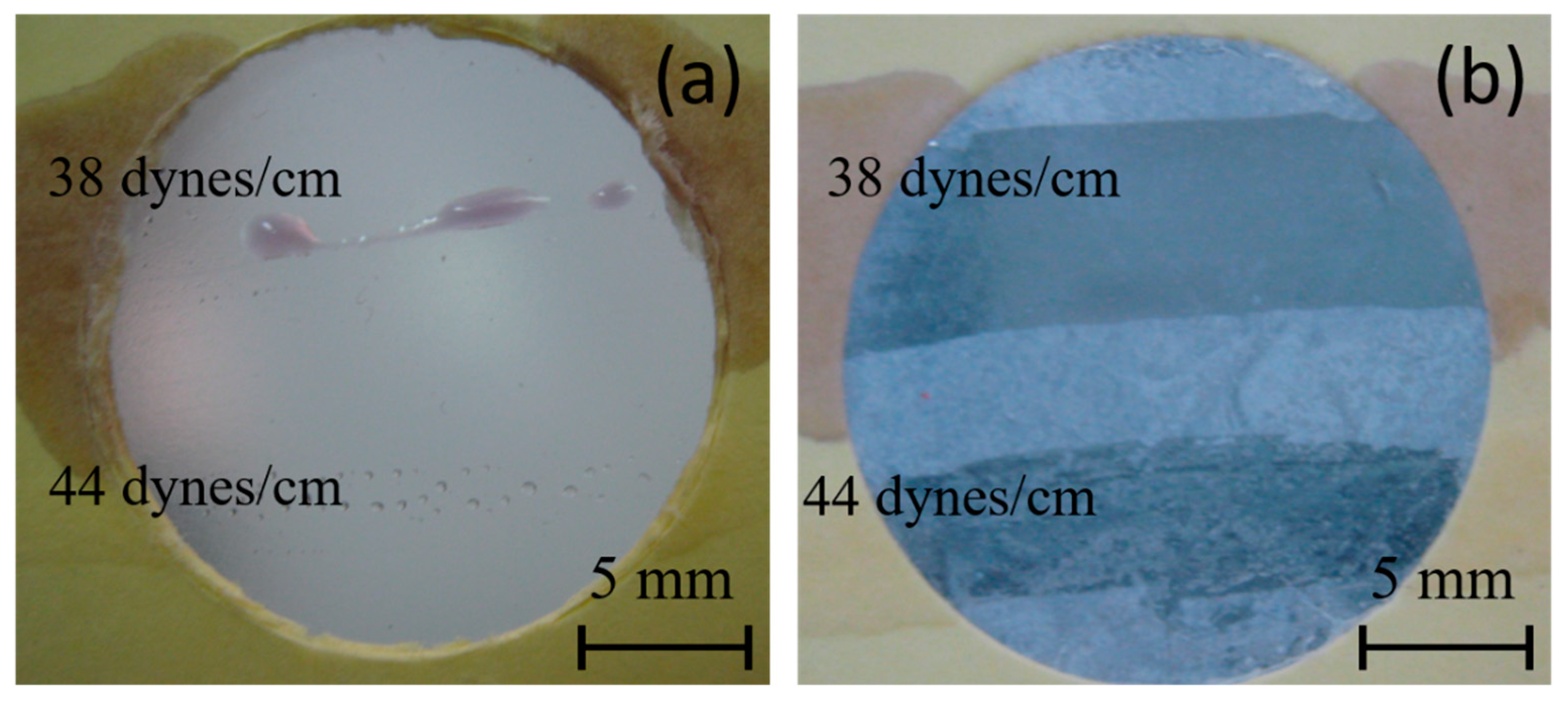 Polymers 16 01291 g007