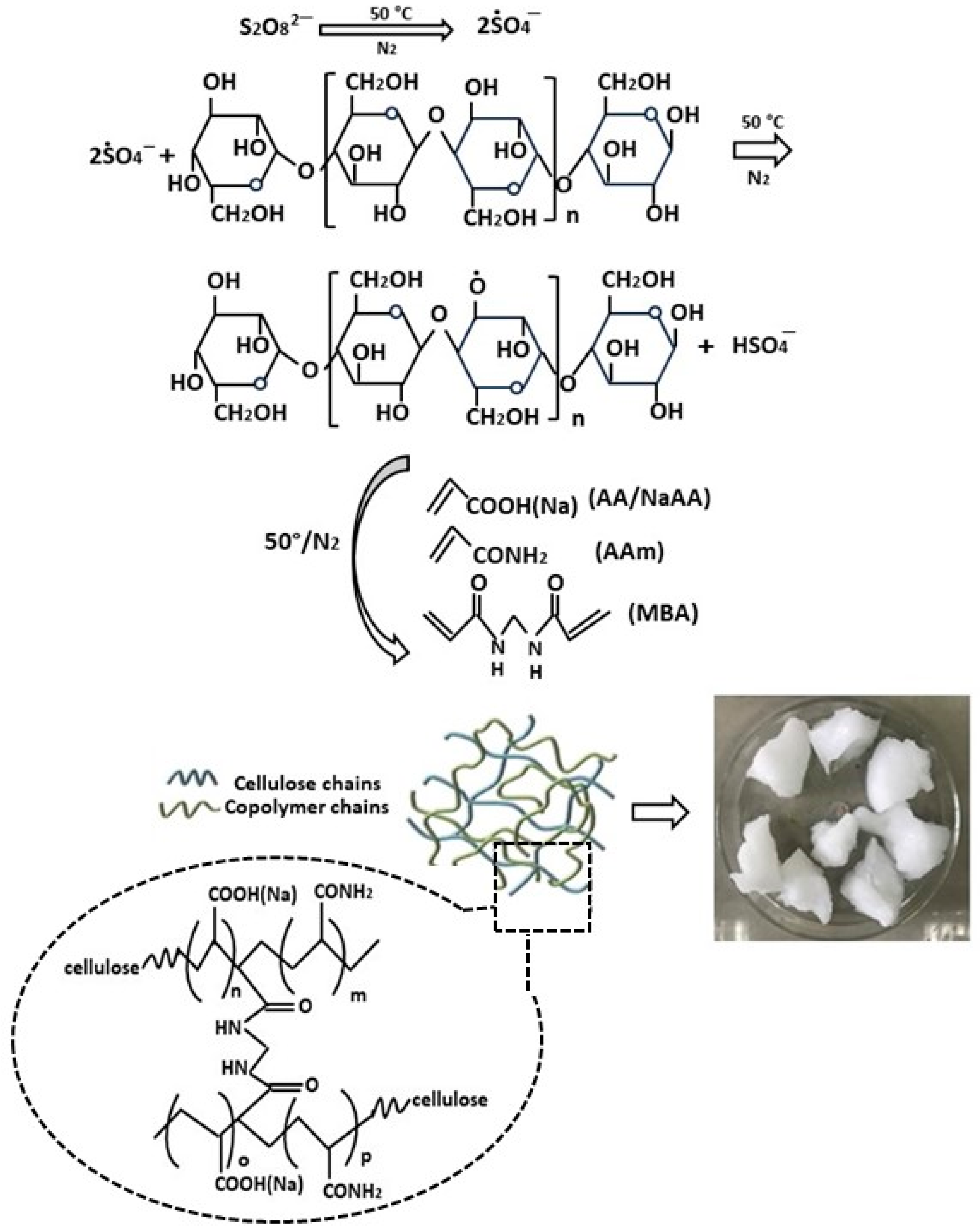 Polymers 16 01292 g003