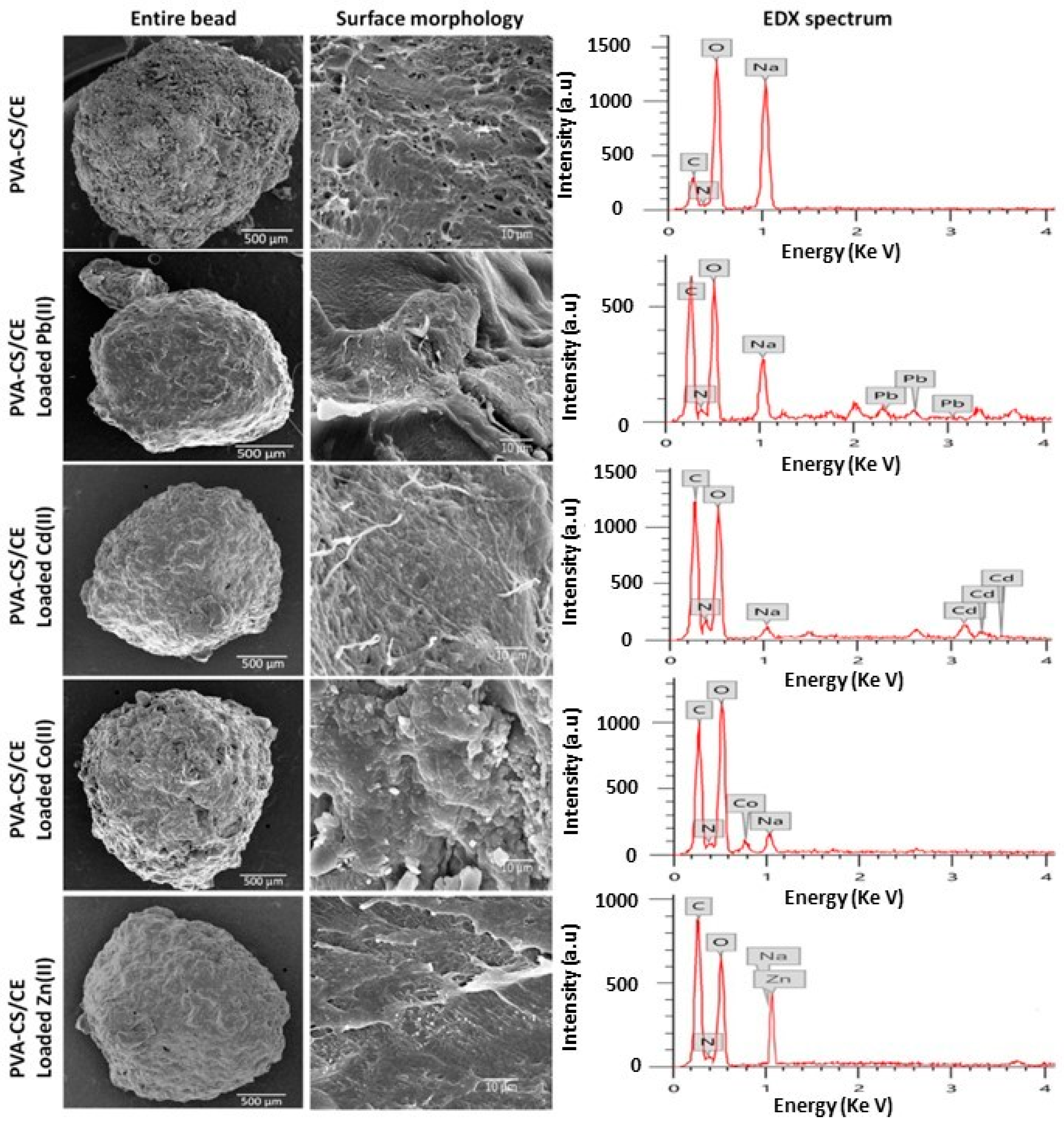 Polymers 16 01292 g010