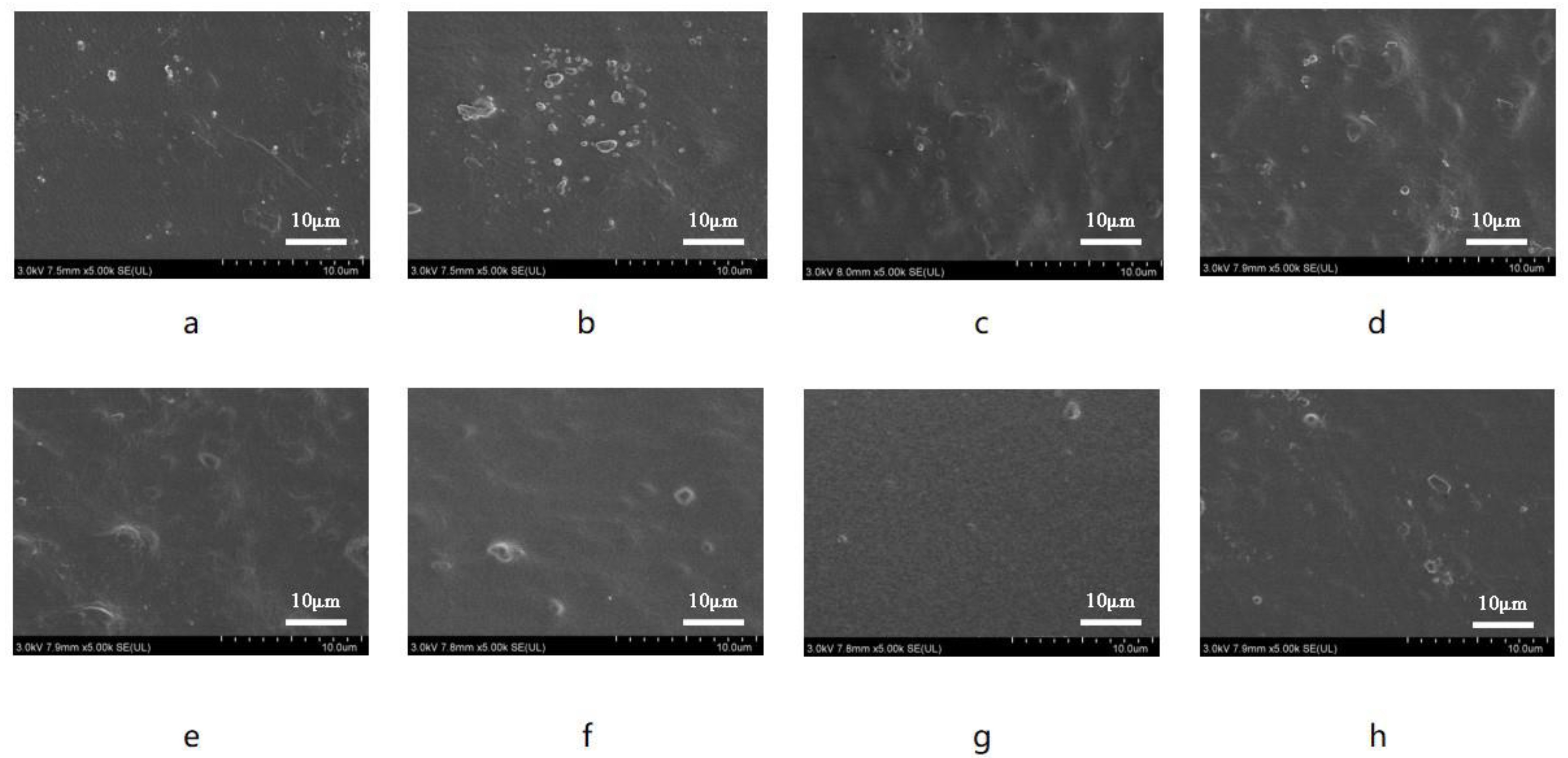 Polymers 16 01295 g005