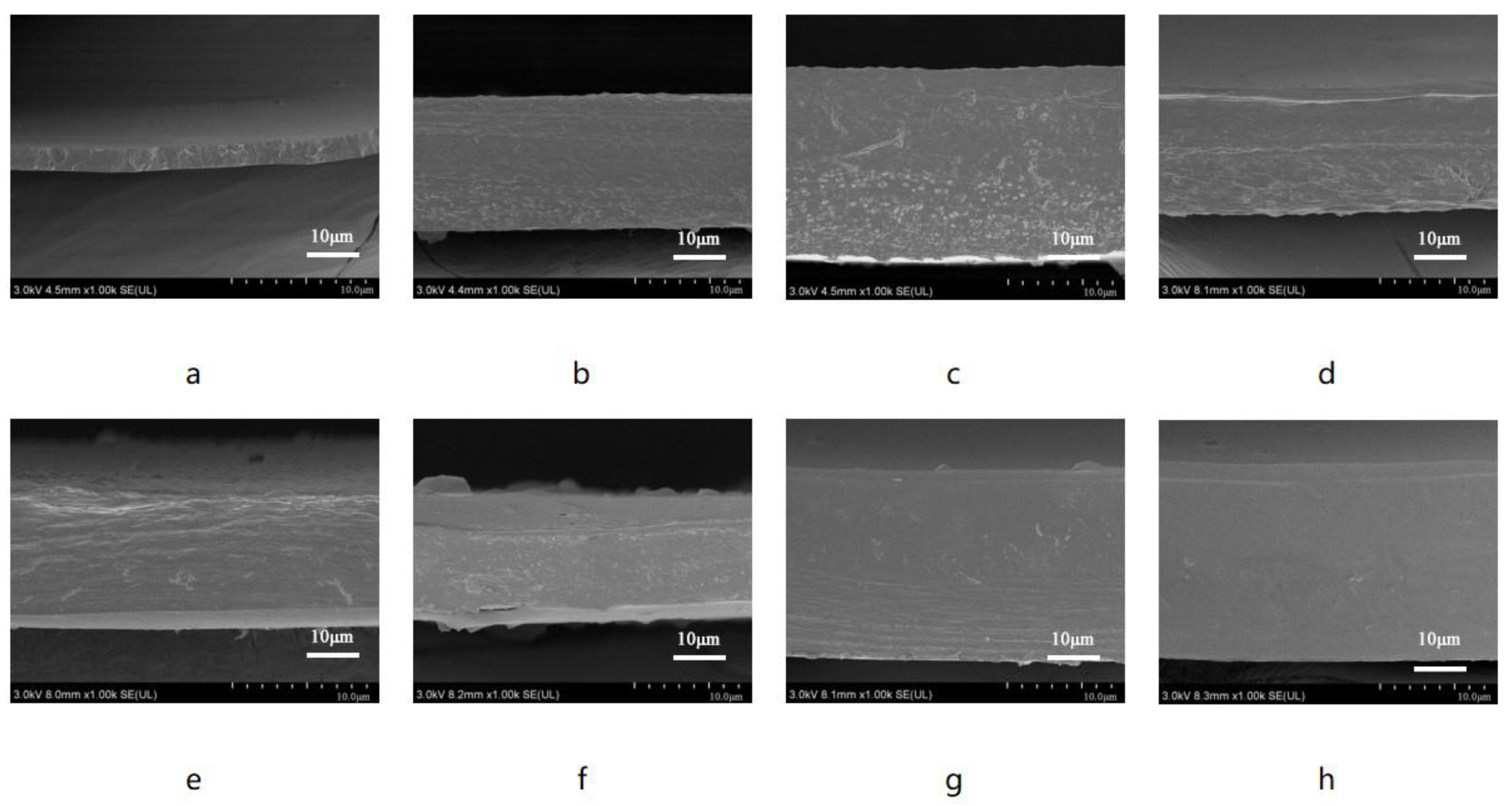 Polymers 16 01295 g006