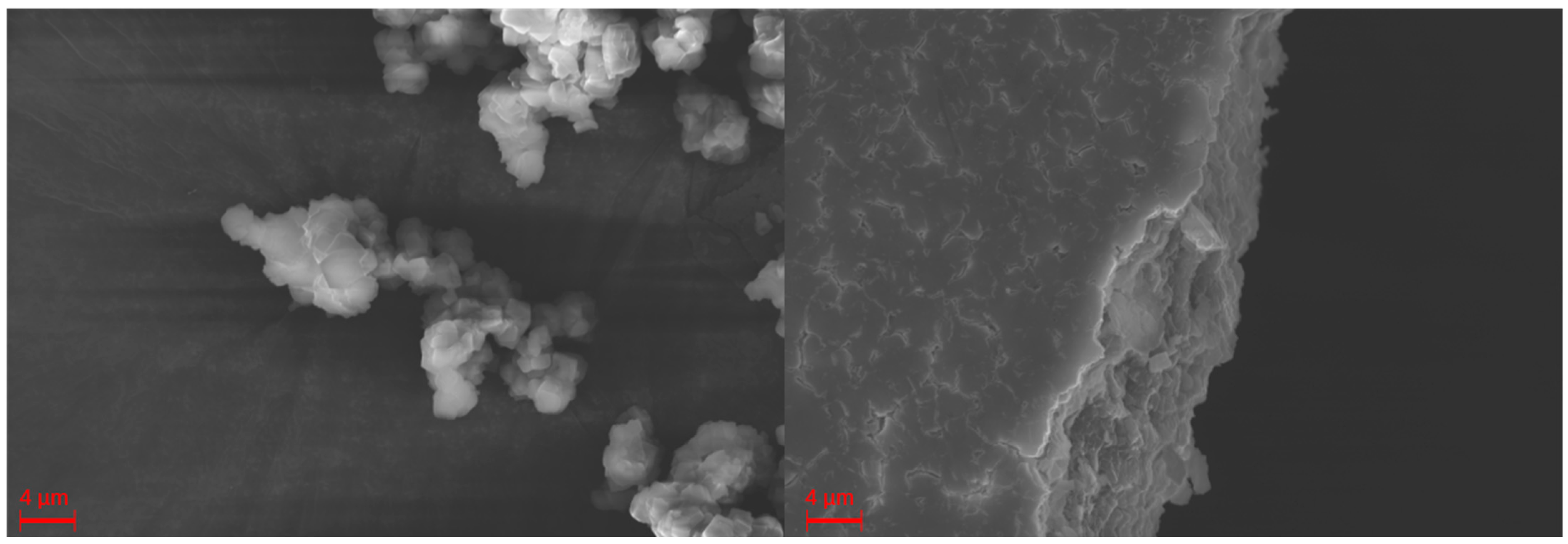 Polymers 16 01311 g005