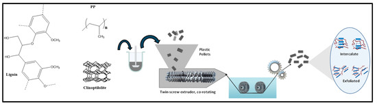 専用　No.2 Targeting heat shock protein 90 with usnic acid relieves