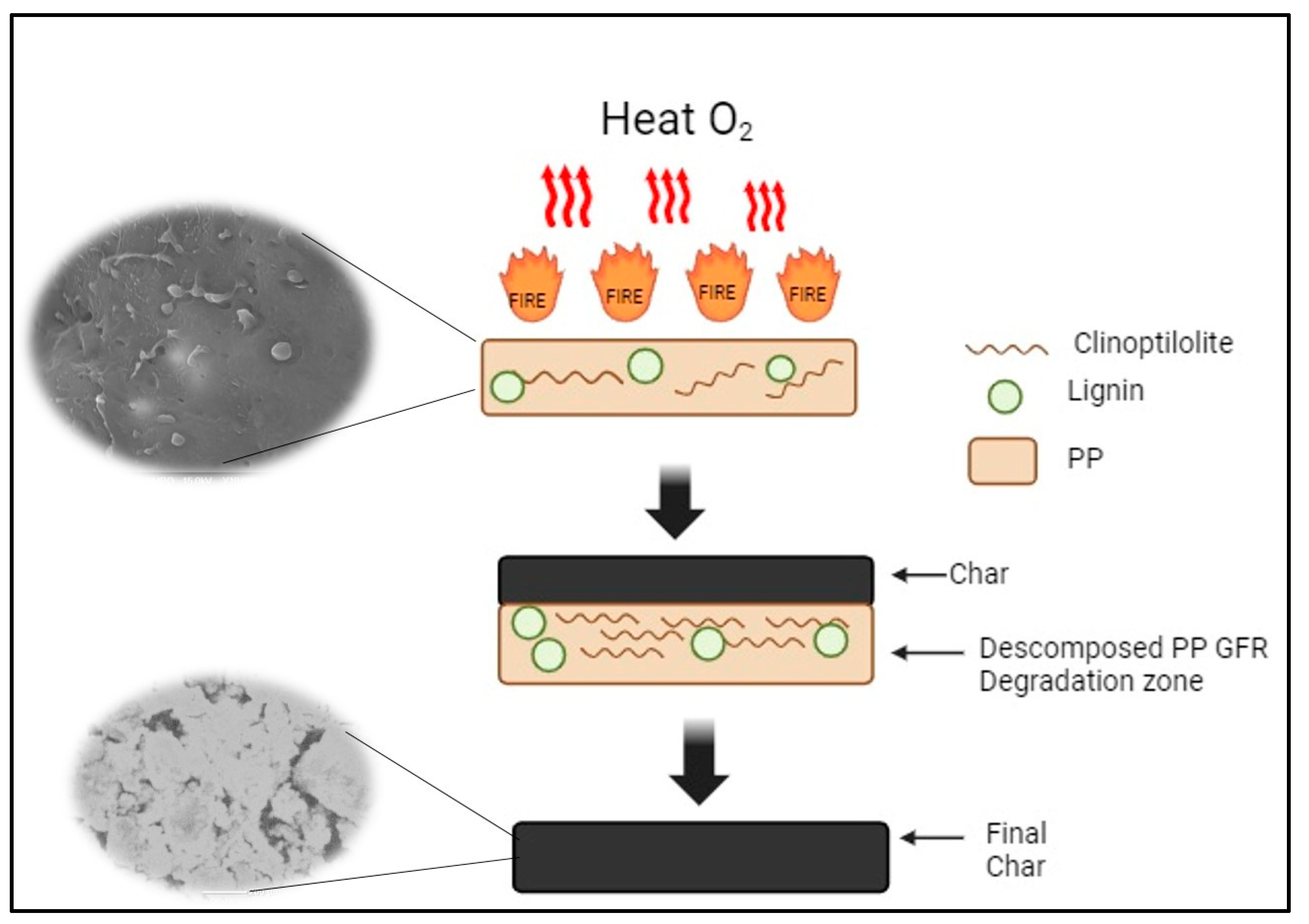 Polymers 16 01317 g010