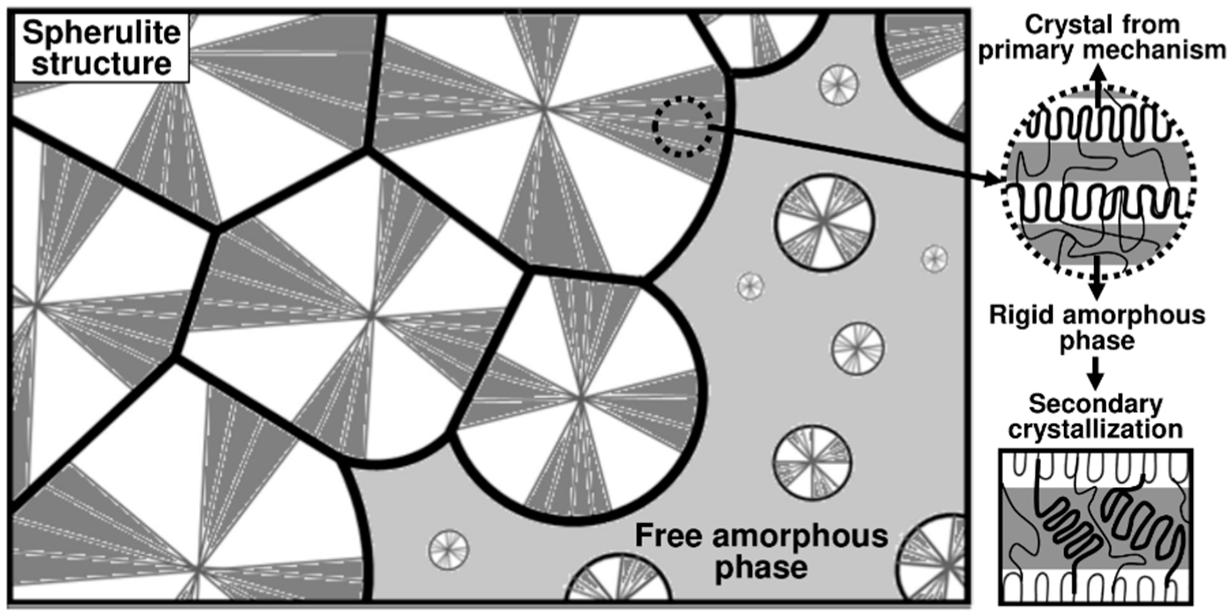 Polymers 16 01319 g001