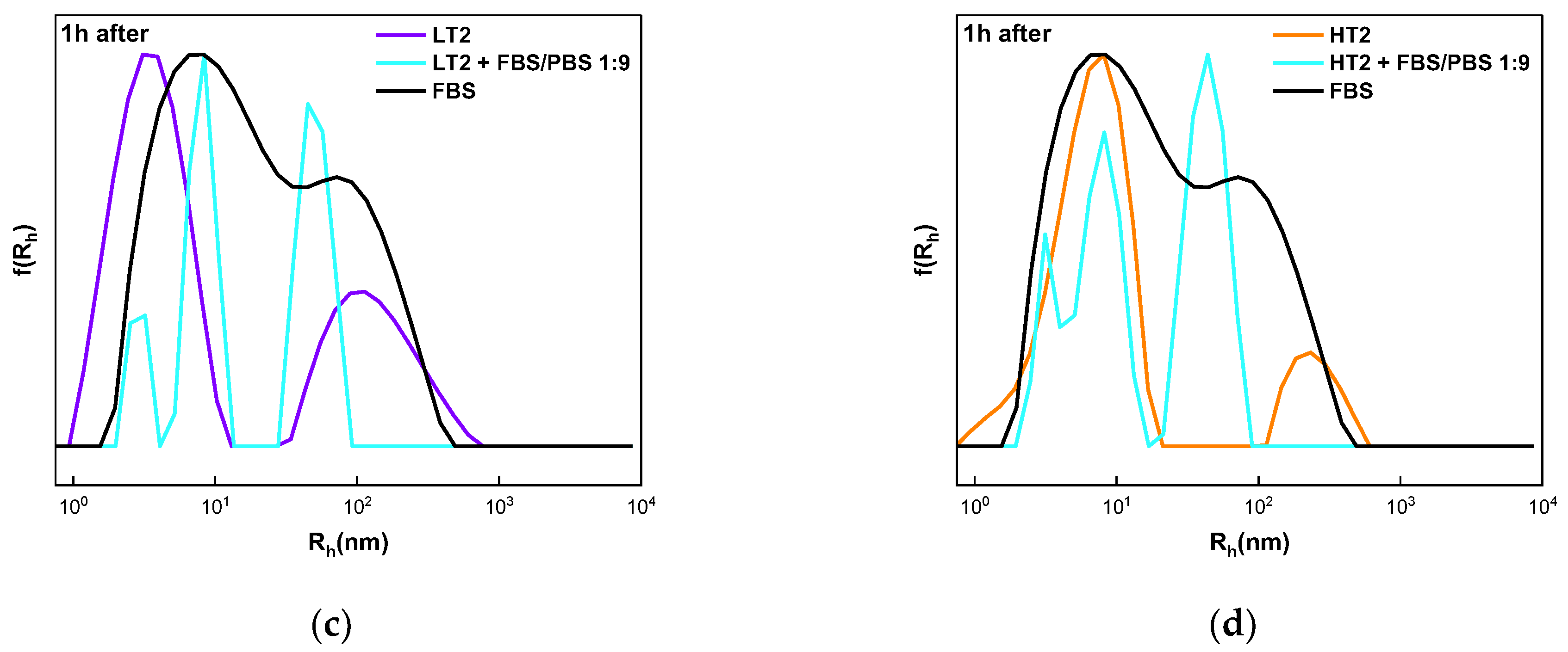 Polymers 16 01321 g008b