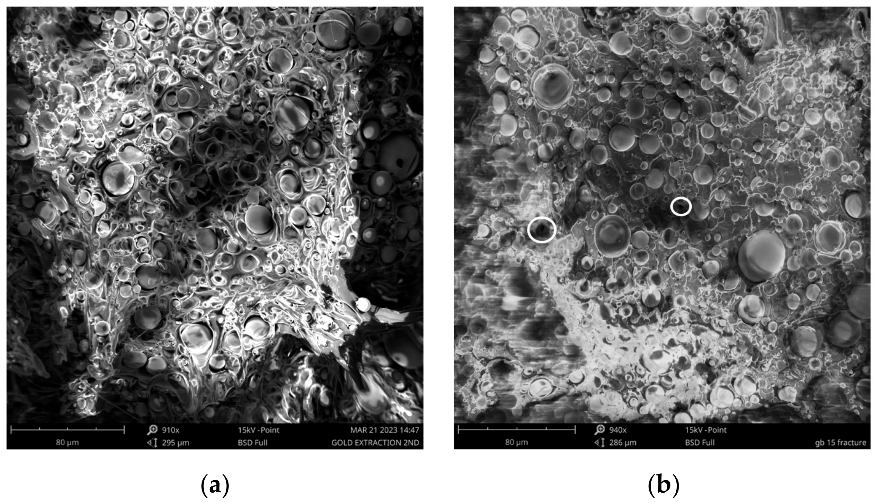 Polymers 16 01326 g003