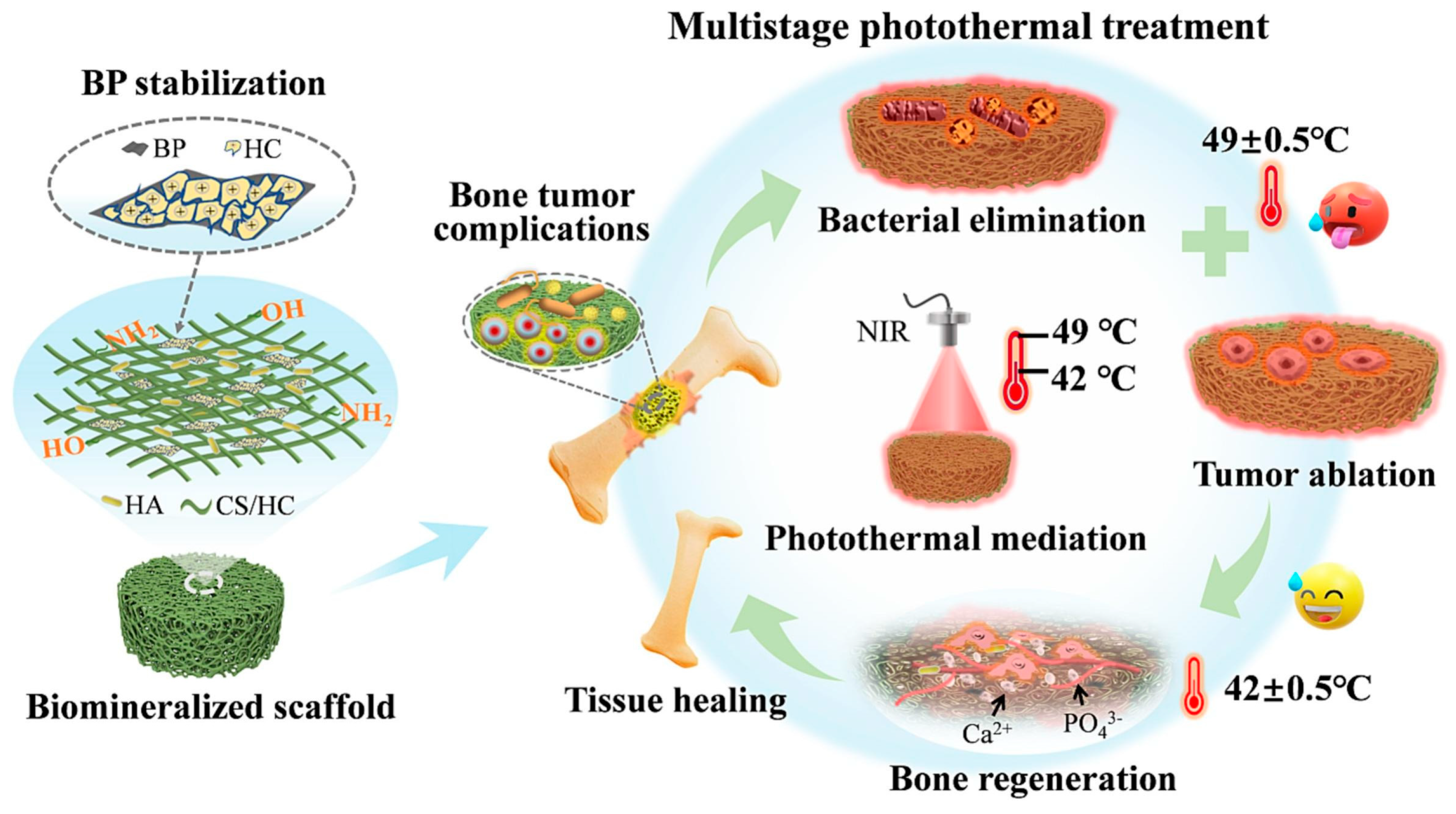 Polymers 16 01327 g002