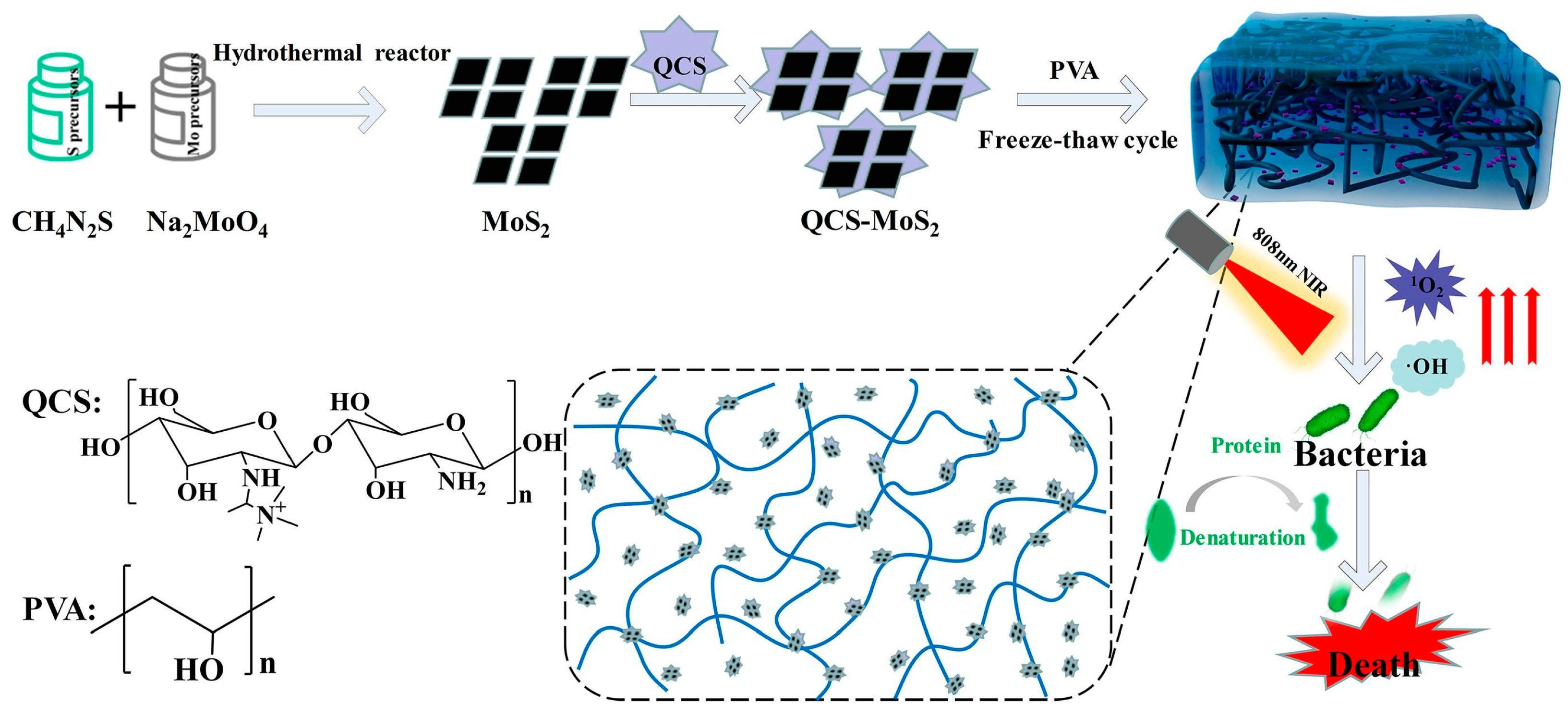 Polymers 16 01327 g003